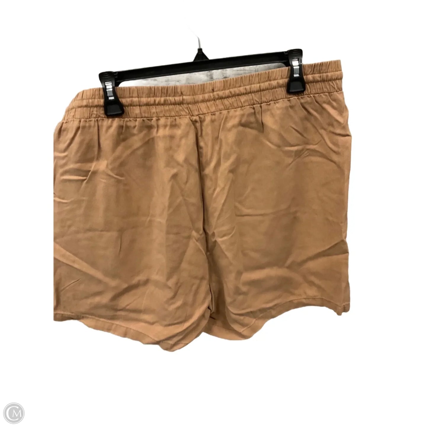 Shorts By Oat In Brown, Size: Xl