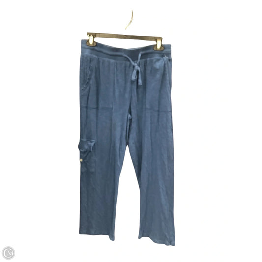 Athletic Pants By Soft Surroundings In Blue, Size: Sp
