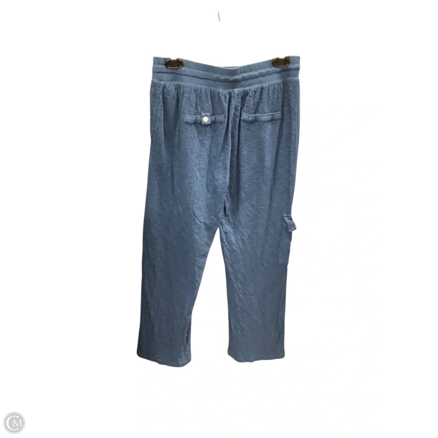 Athletic Pants By Soft Surroundings In Blue, Size: Sp