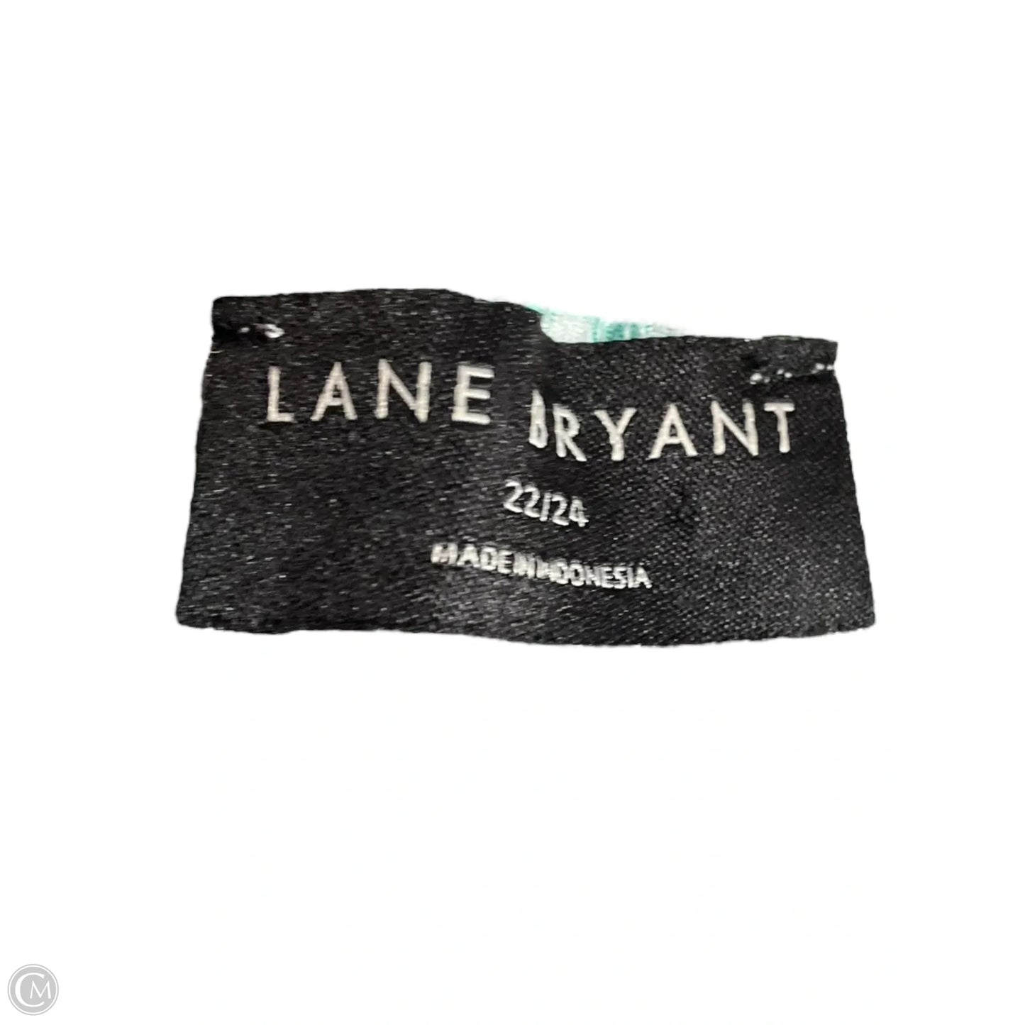 Top Short Sleeve By Lane Bryant In Green & White, Size: 2x