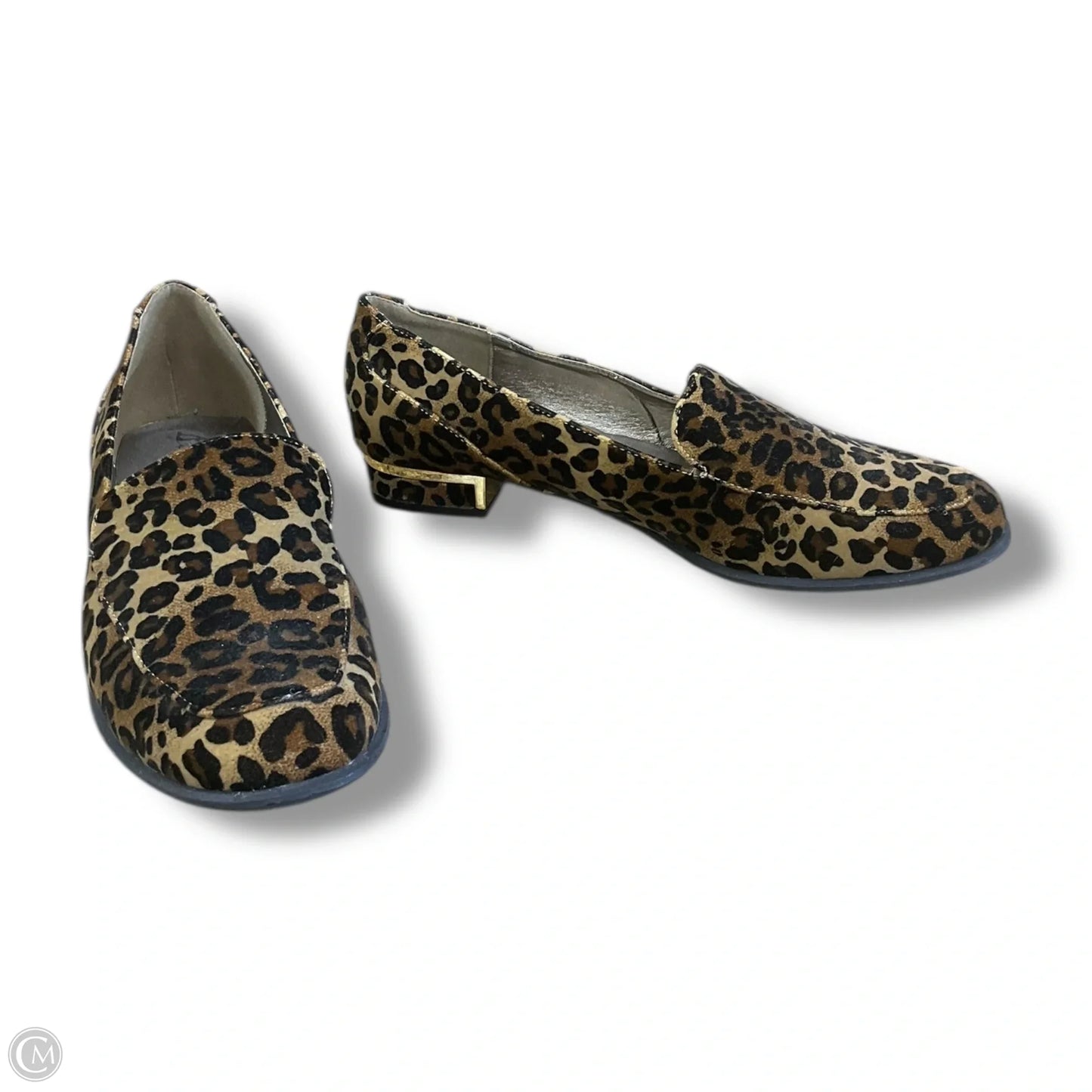 Shoes Flats By Bellini In Animal Print, Size: 11