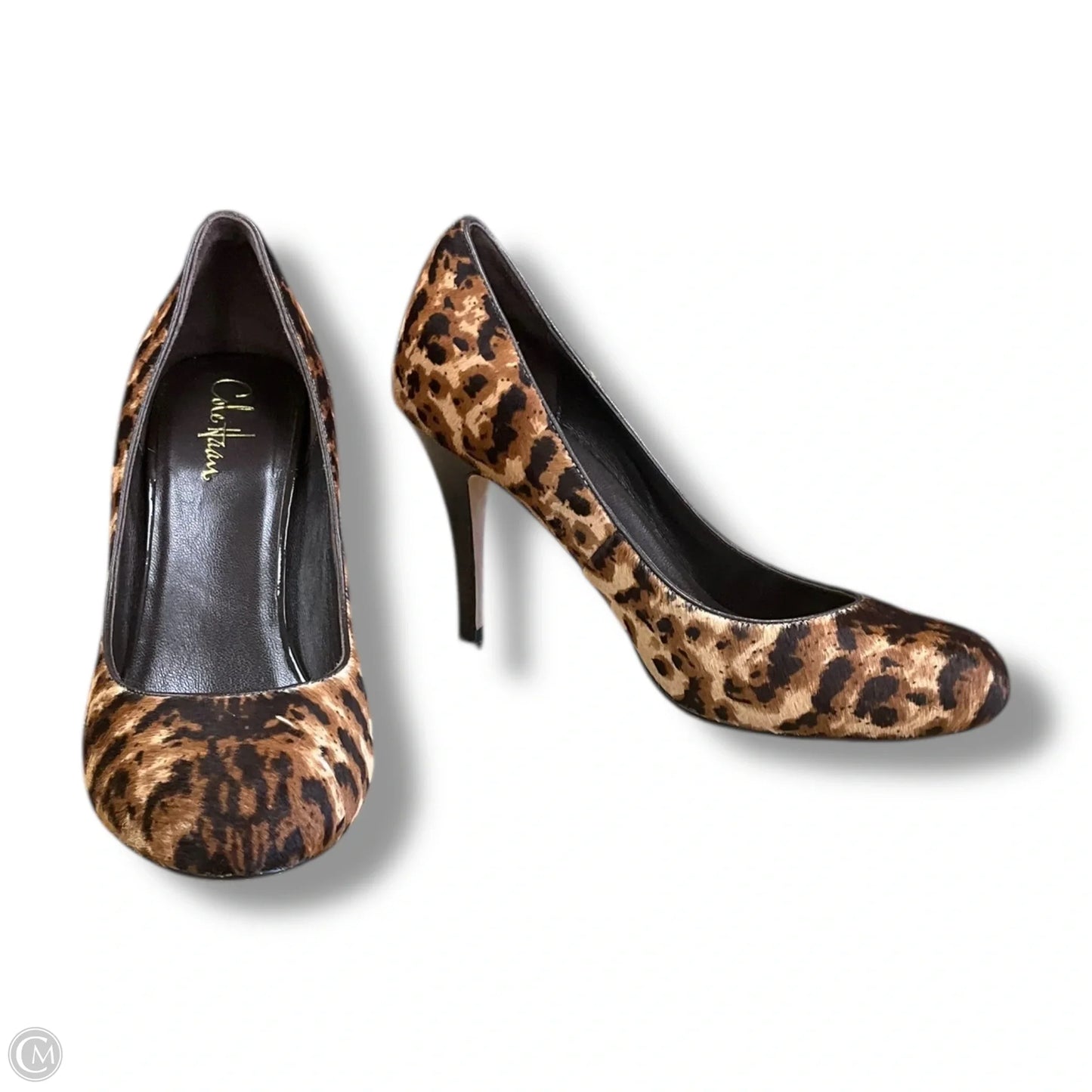 Shoes Heels Stiletto By Cole-haan In Animal Print, Size: 10