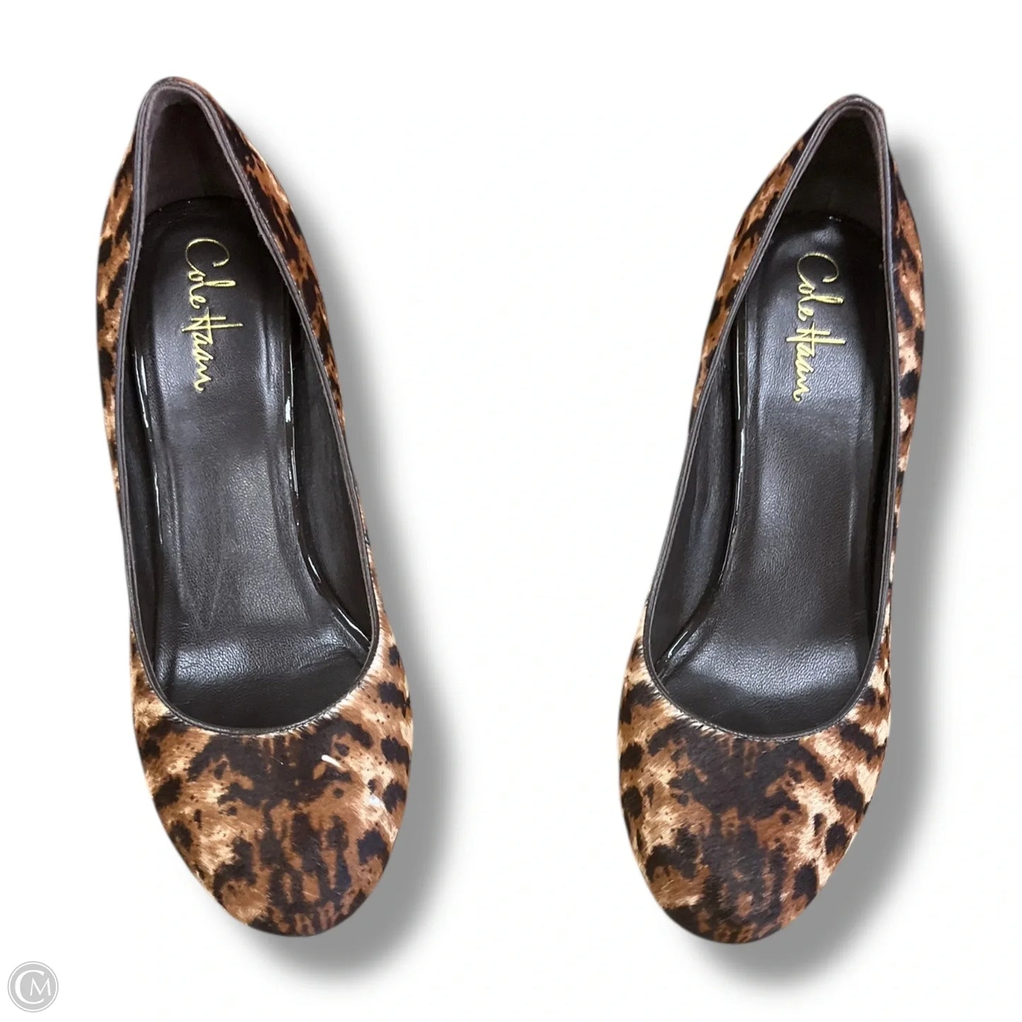 Shoes Heels Stiletto By Cole-haan In Animal Print, Size: 10