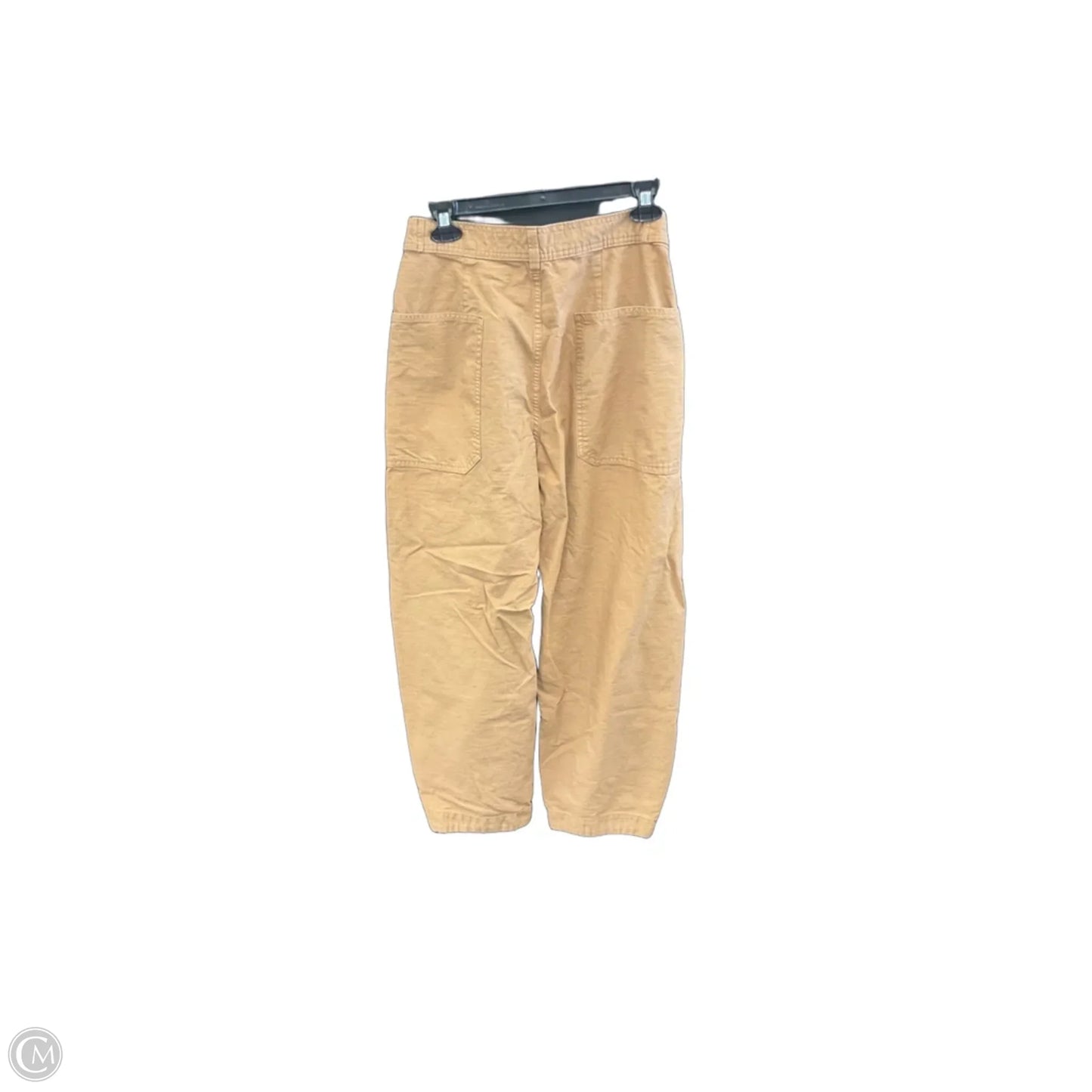Pants Chinos & Khakis By Everlane In Brown, Size: 4
