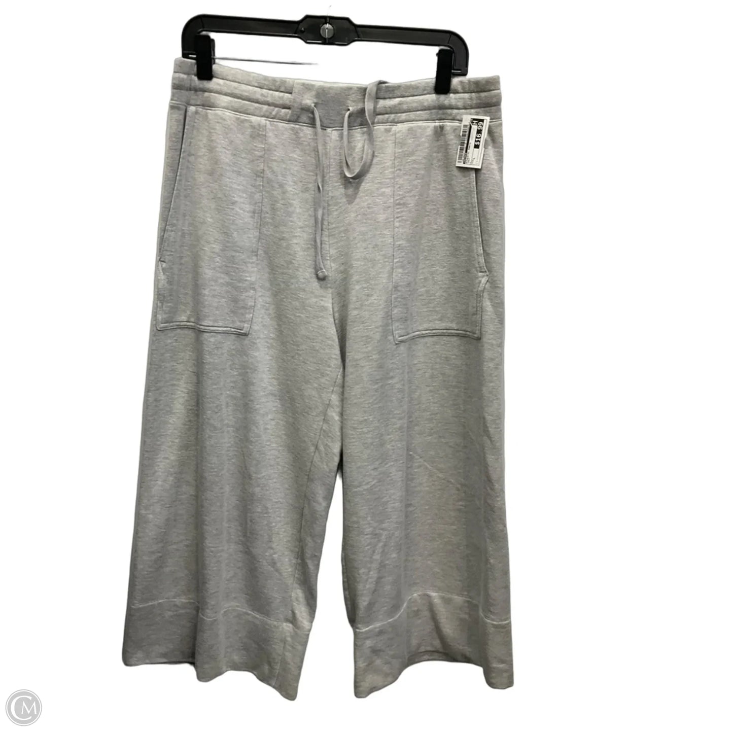 Athletic Pants By Quince In Grey, Size: L