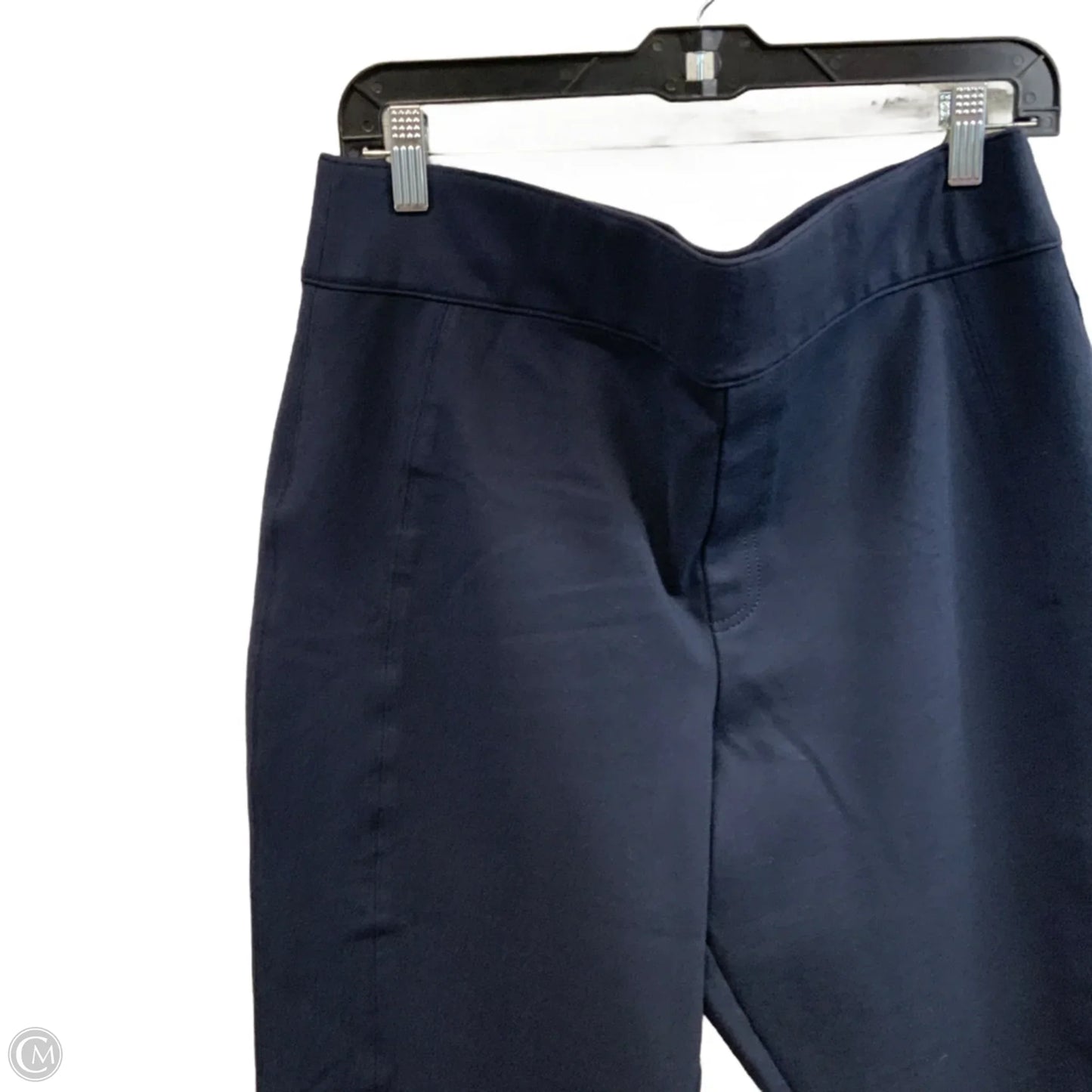 Pants Other By Spanx In Blue, Size: 1x