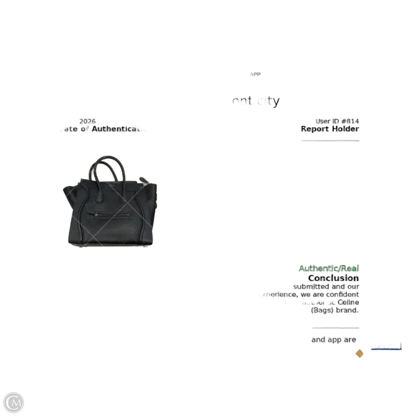 Handbag Luxury Designer By Celine, Size: Large