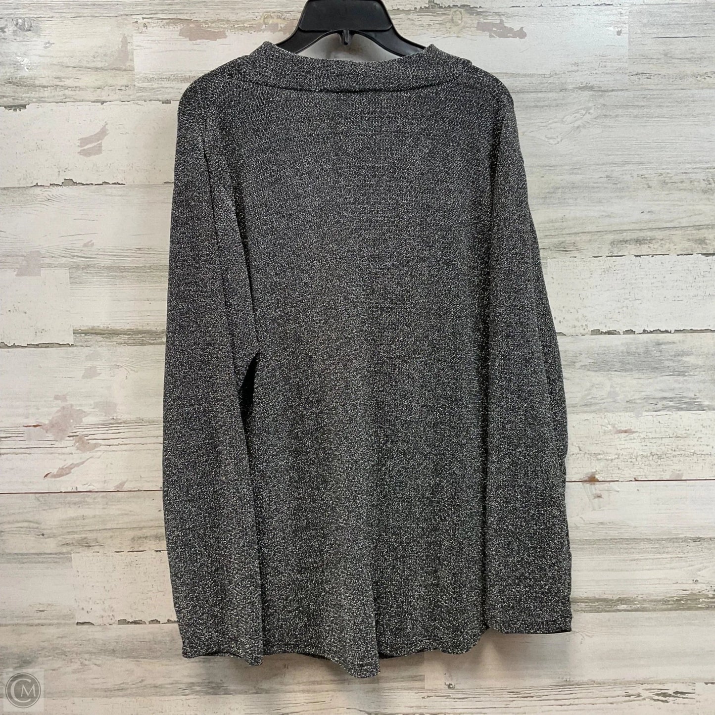 Blouse Long Sleeve By Grace In Silver, Size: 2x