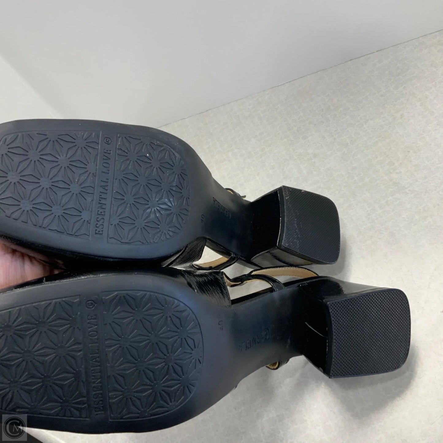 Shoes Heels Block By Carmela  In Black, Size: 9