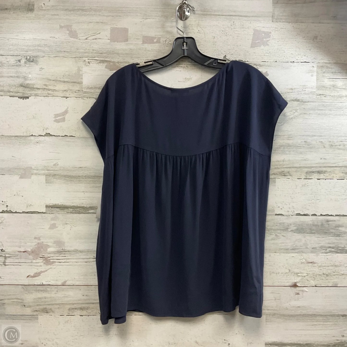Blouse Sleeveless By Eileen Fisher In Blue, Size: Xl