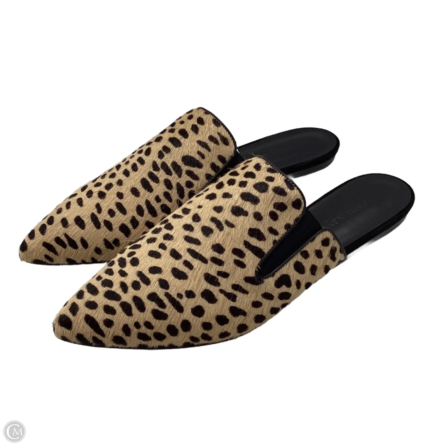Shoes Flats By Jenni Kayne In Animal Print, Size: 9