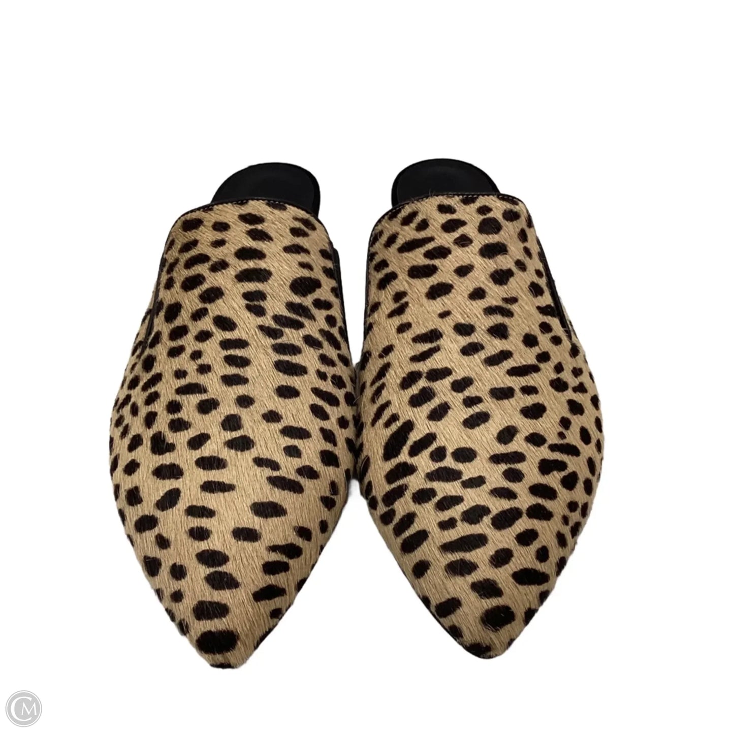 Shoes Flats By Jenni Kayne In Animal Print, Size: 9
