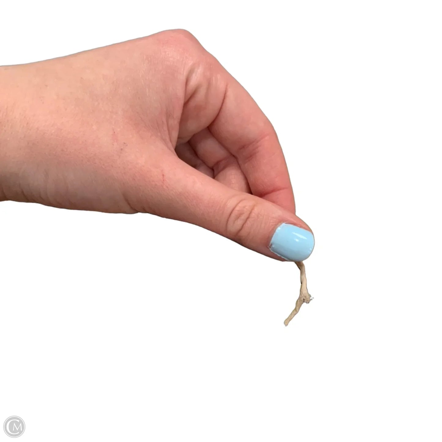 Scarf Luxury Designer By Emilio Pucci