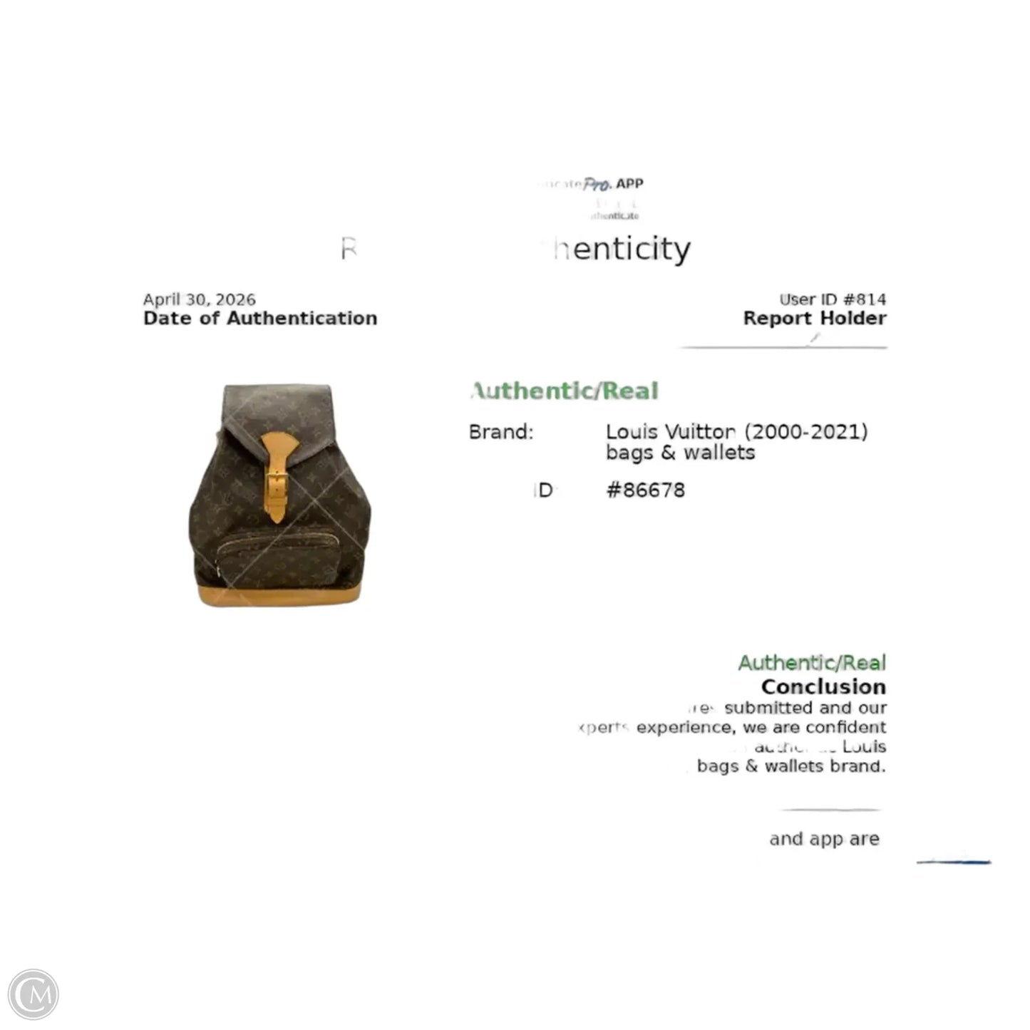Backpack Luxury Designer By Louis Vuitton, Size: Large