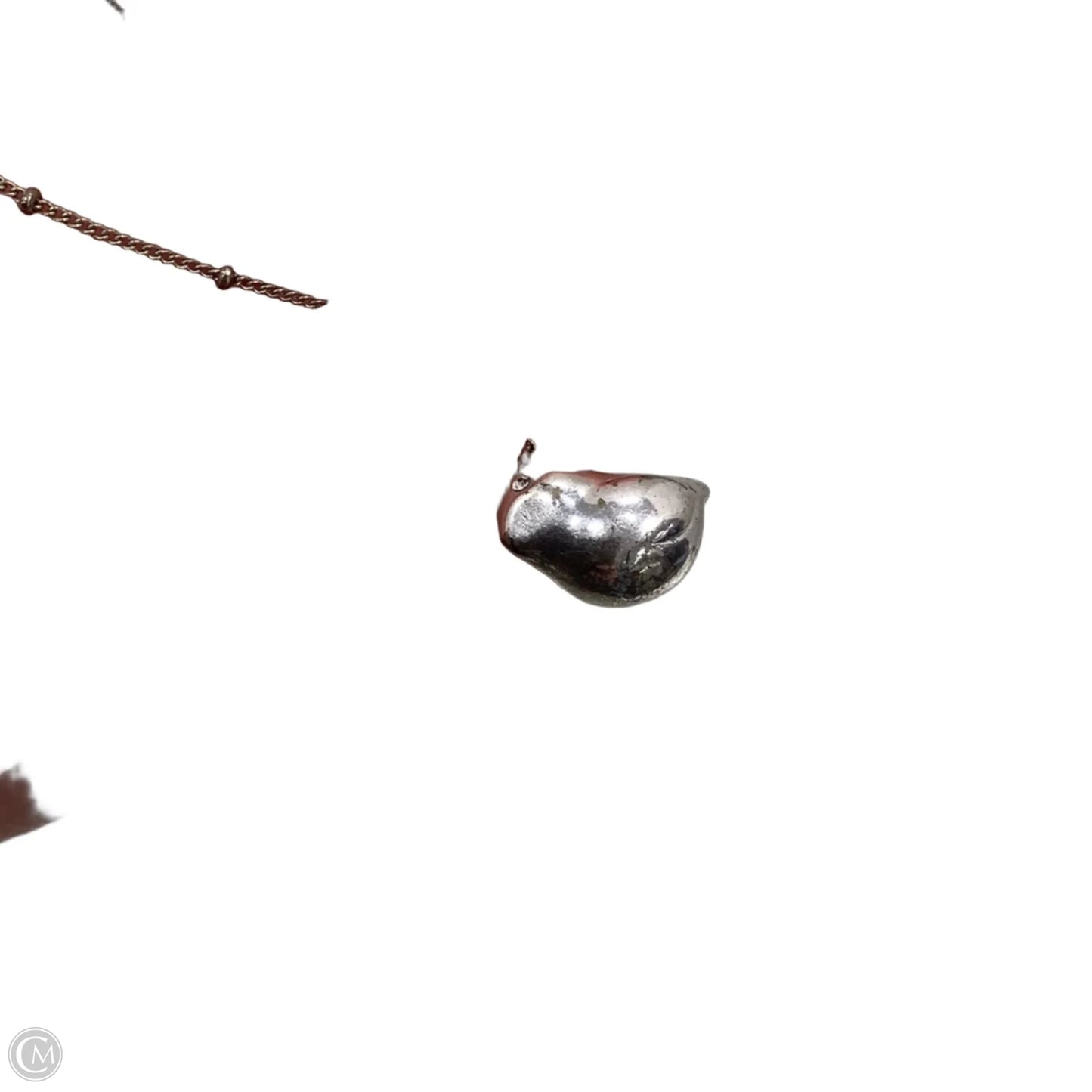 Necklace Chain By Fossil