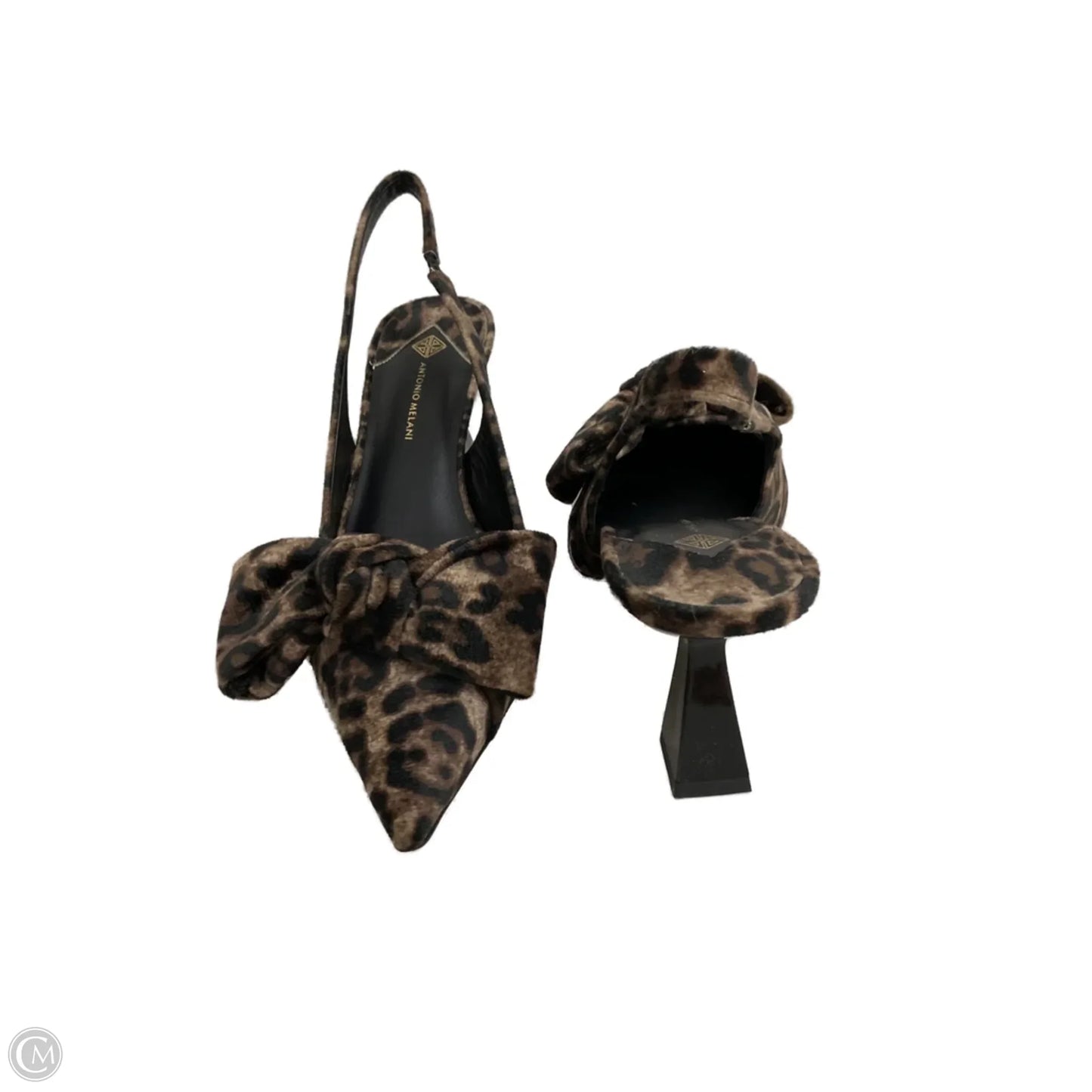Shoes Heels Kitten By Antonio Melani In Animal Print, Size: 10