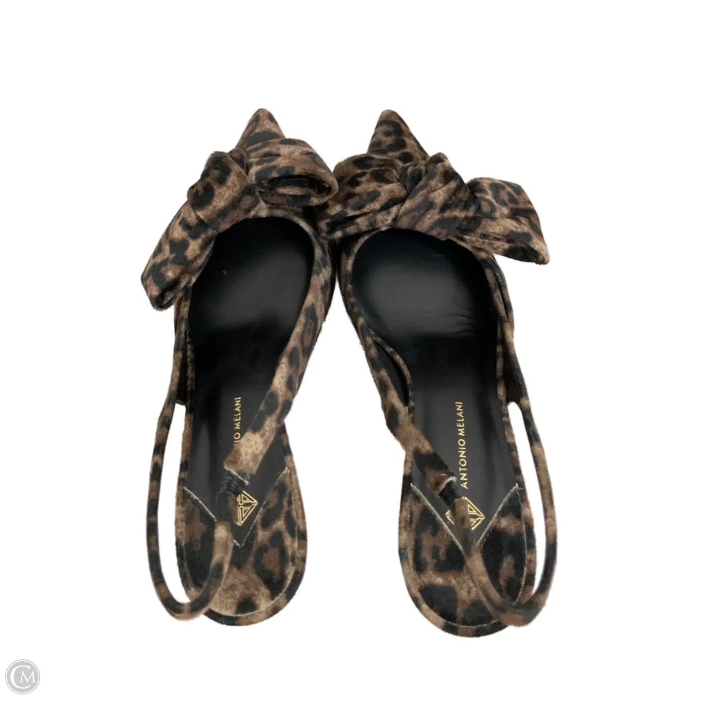 Shoes Heels Kitten By Antonio Melani In Animal Print, Size: 10