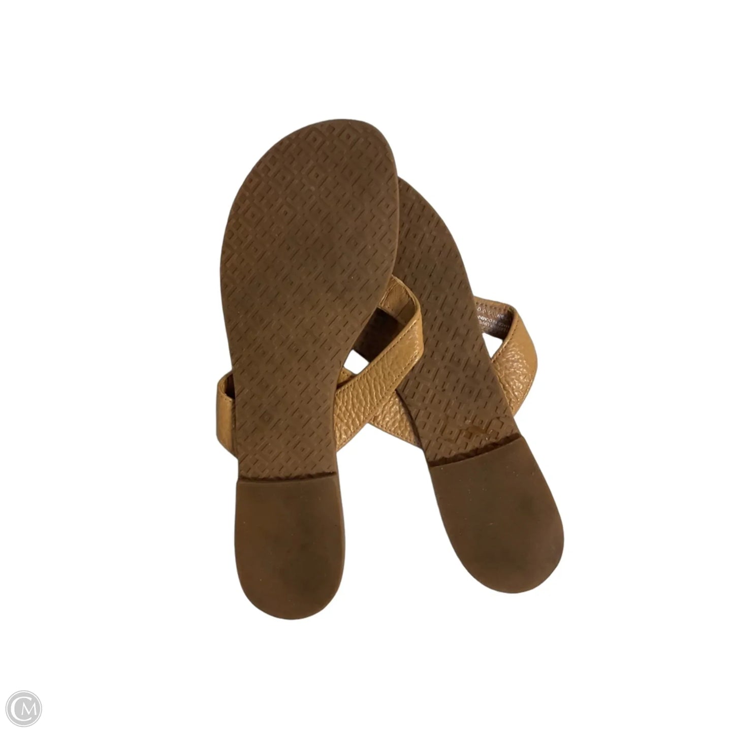Sandals Designer By Tory Burch In Brown, Size: 7