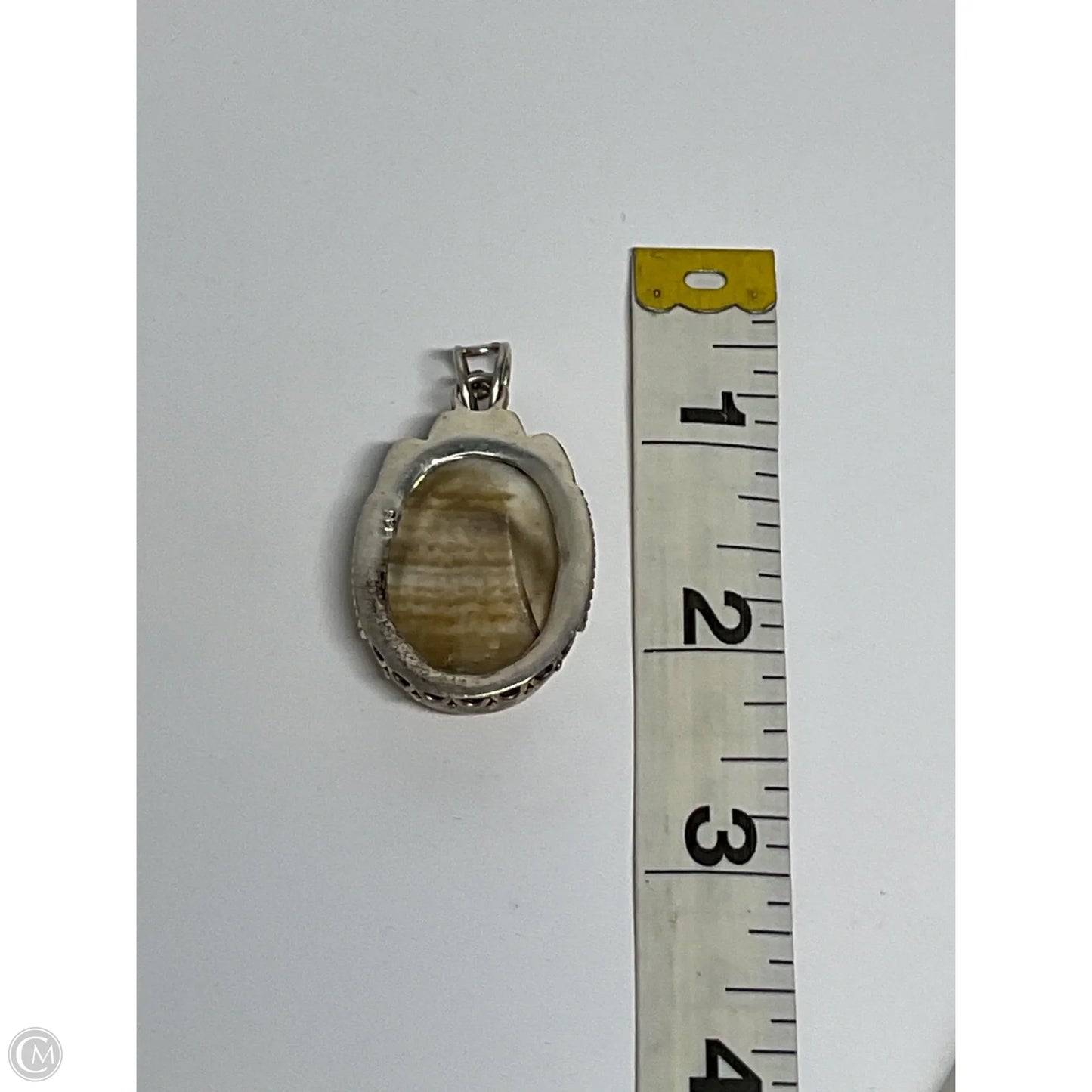 Necklace Pendant By Clothes Mentor