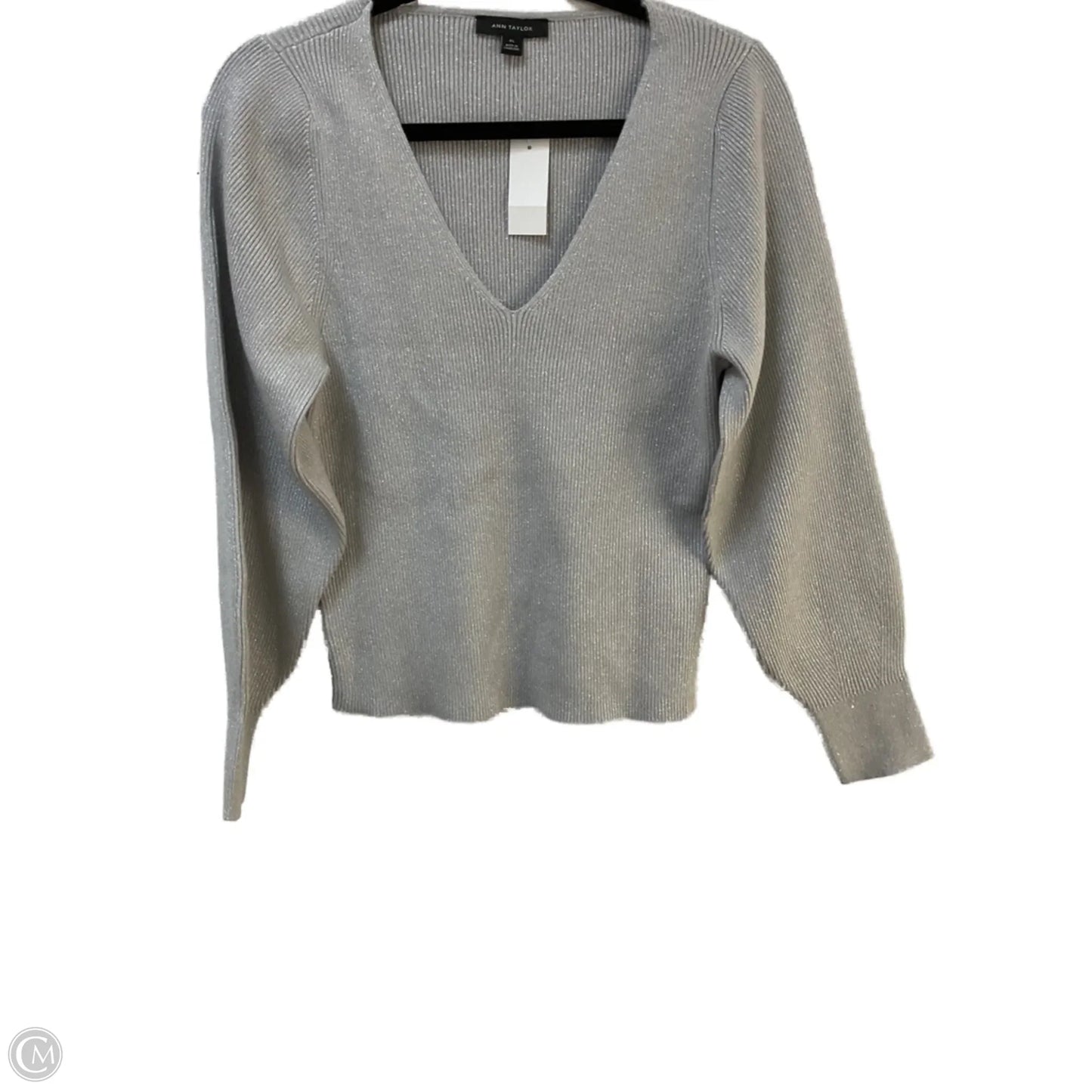 Top Long Sleeve By Ann Taylor In Silver, Size: Xl