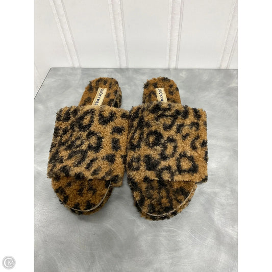 Sandals Flats By Lucky Brand In Leopard Print, Size: 6.5