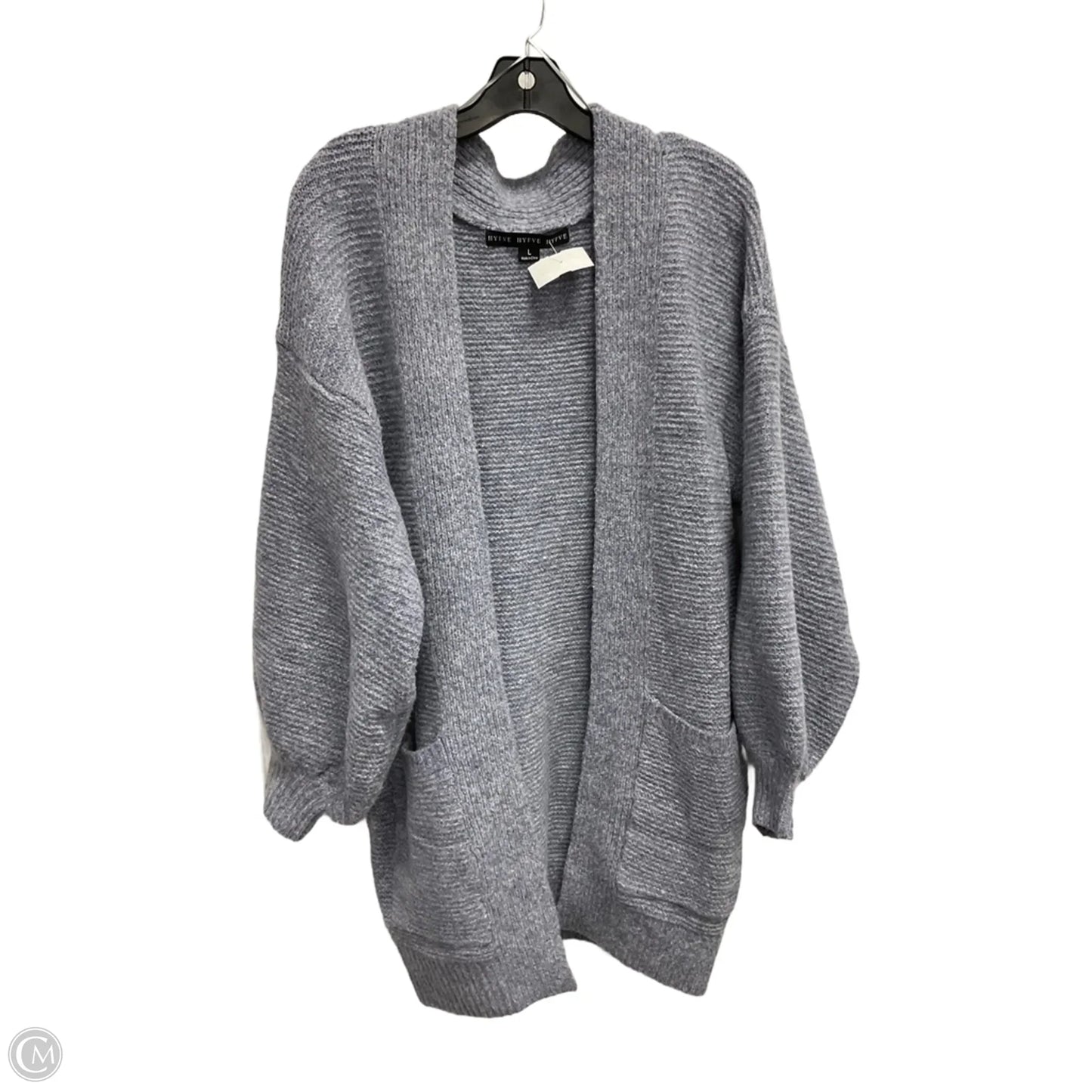 Sweater Cardigan By Hyfve In Blue, Size: L