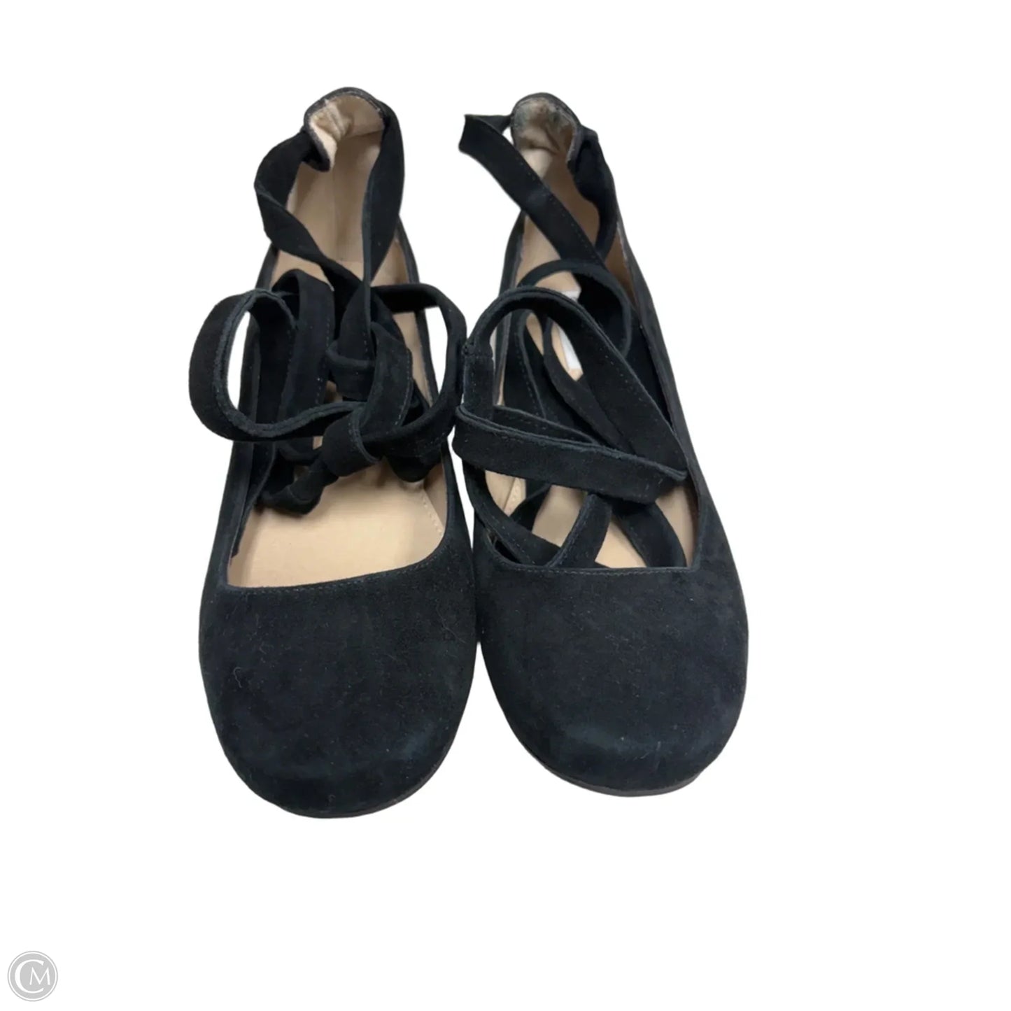 Shoes Heels Block By Steve Madden In Black, Size: 8