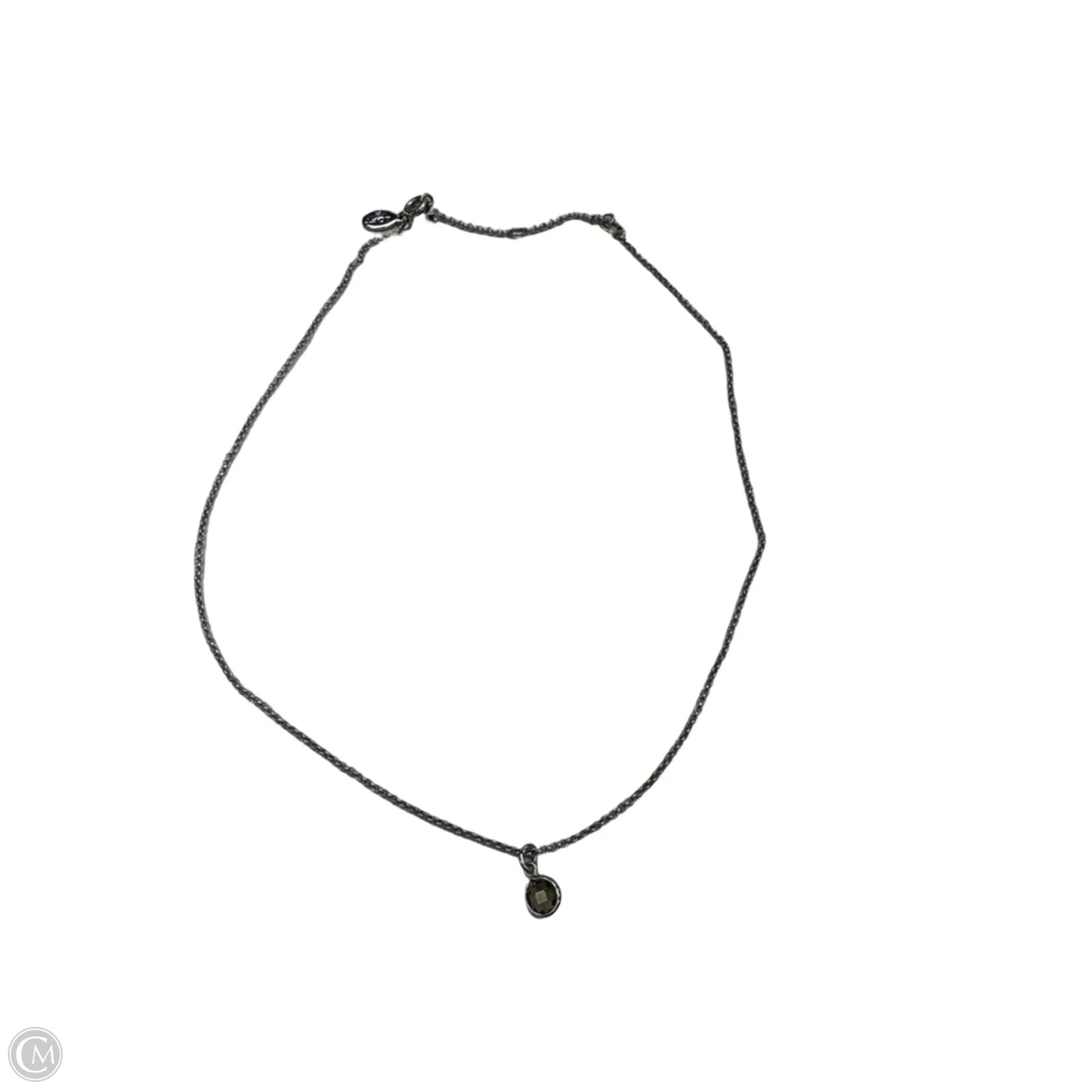 Necklace Chain By Loft