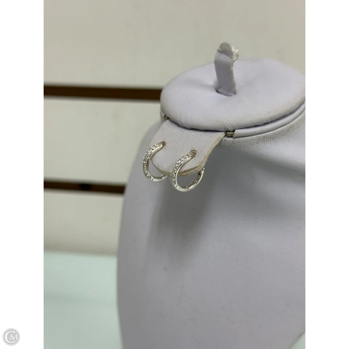 Earrings Hoop By Stella And Dot
