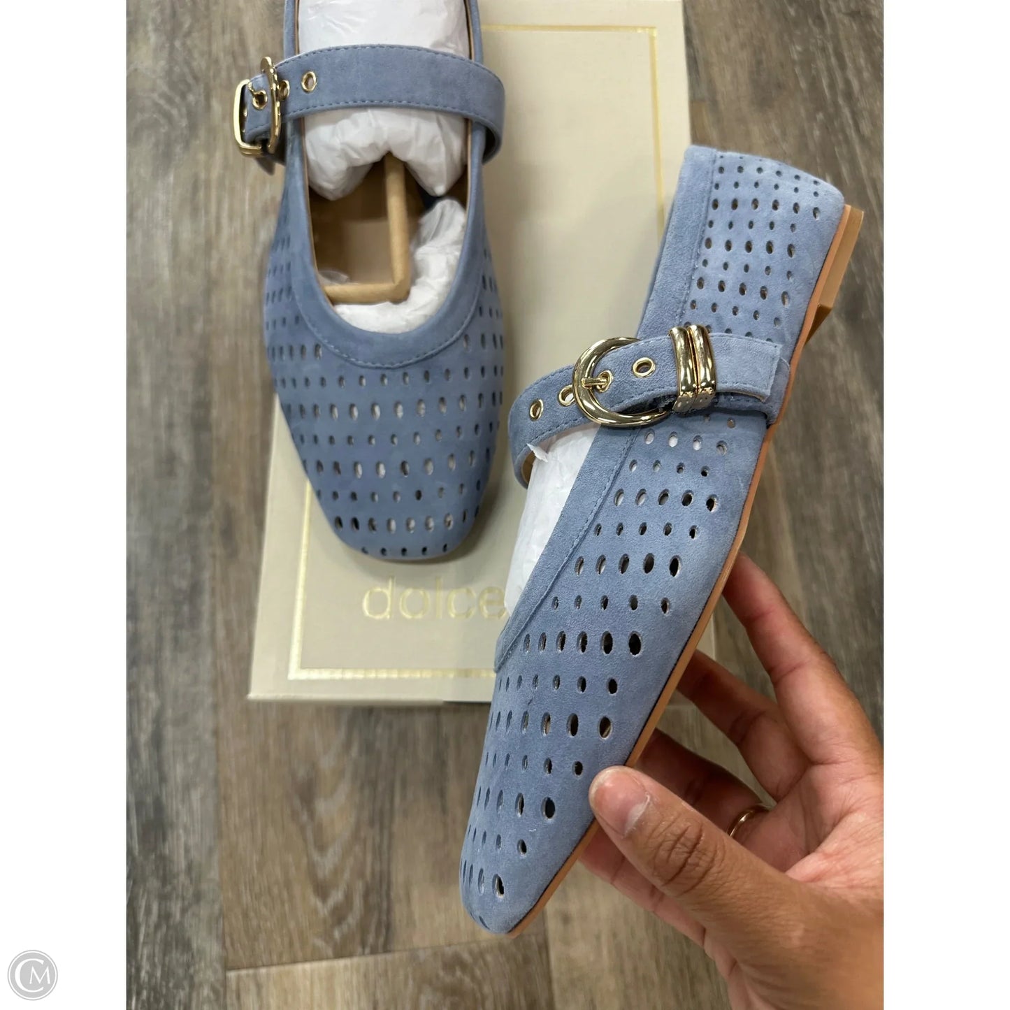 Shoes Flats By Dolce Vita In Purple, Size: 9.5