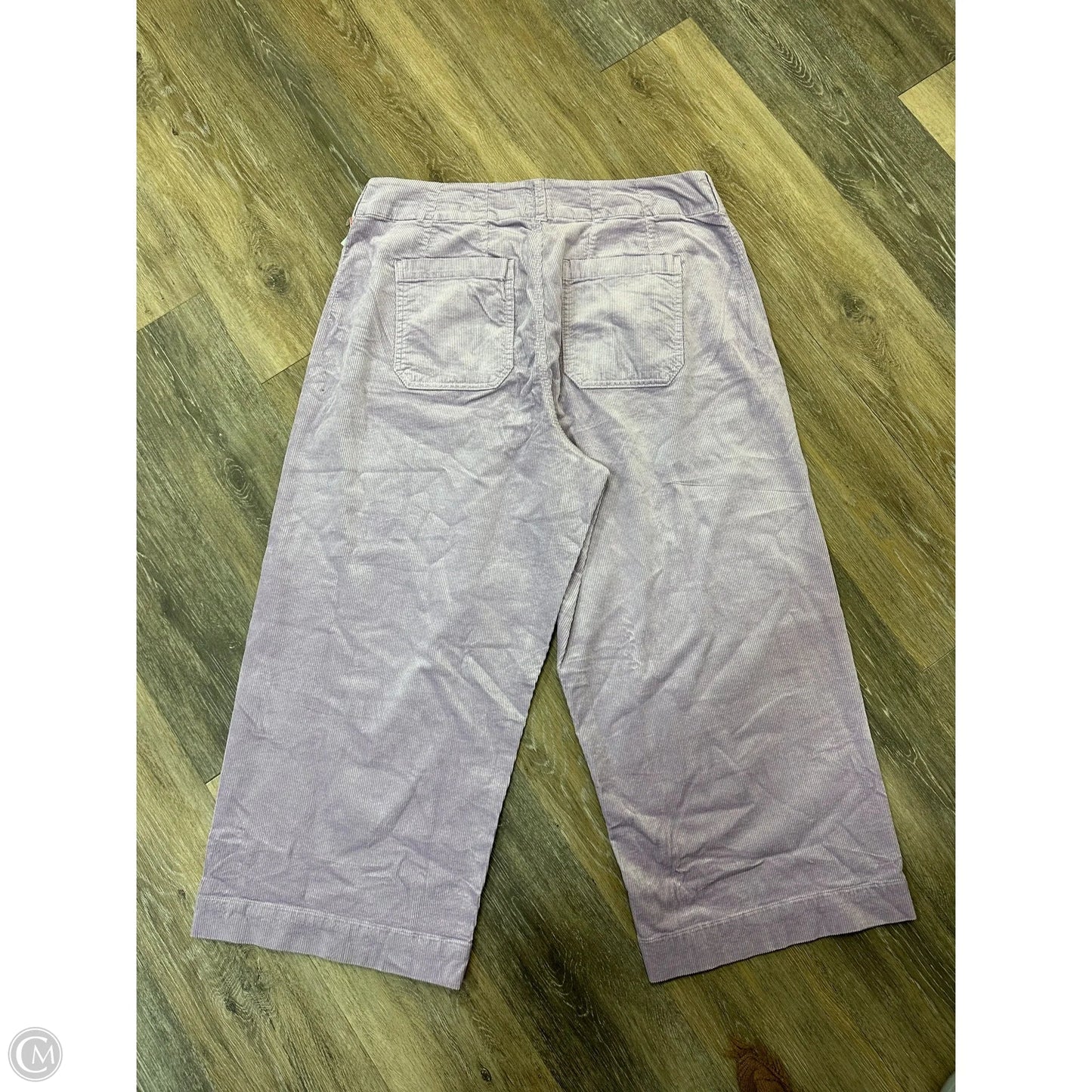Pants Corduroy By Maeve In Purple, Size: 18