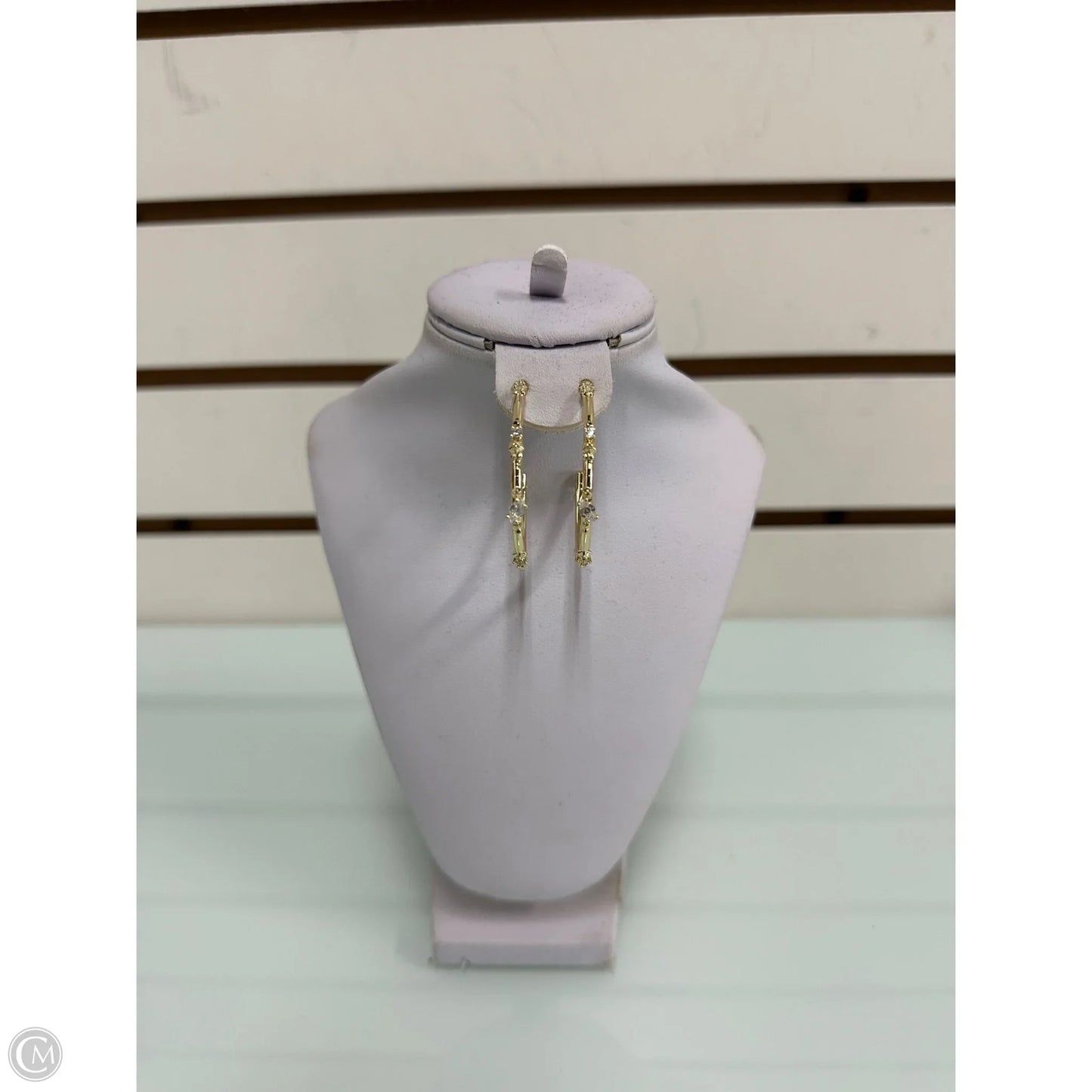 Earrings Hoop By Kendra Scott