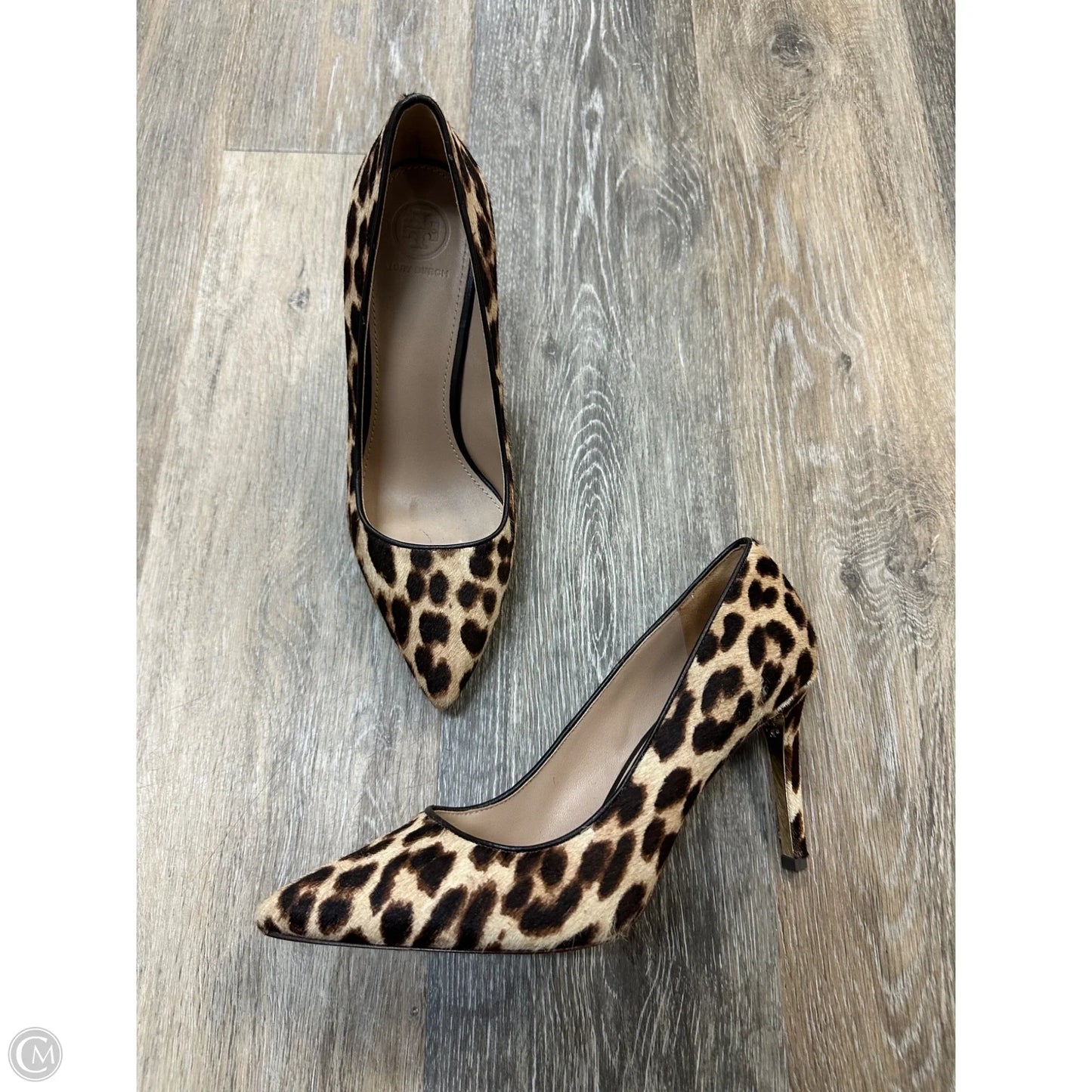 Shoes Designer By Tory Burch In Animal Print, Size: 8