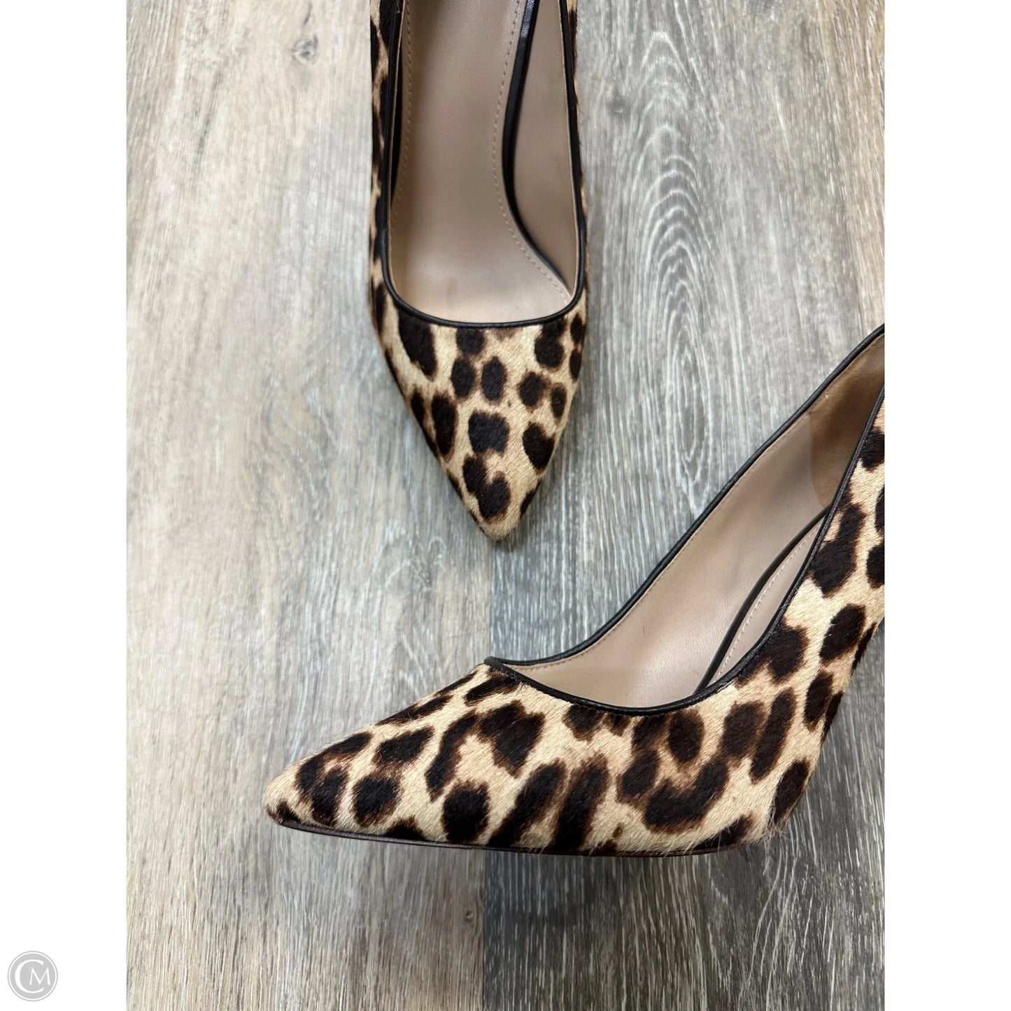 Shoes Designer By Tory Burch In Animal Print, Size: 8