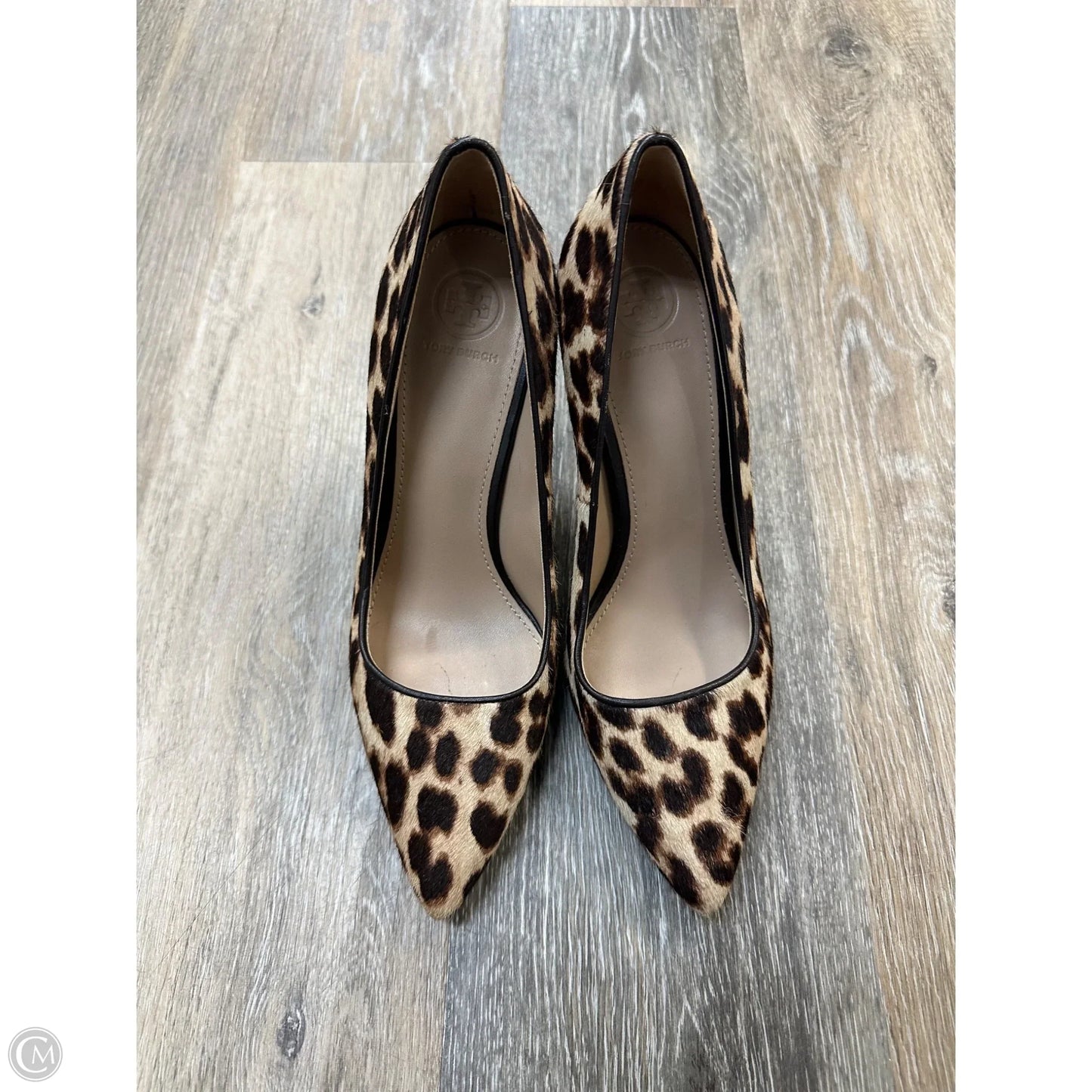 Shoes Designer By Tory Burch In Animal Print, Size: 8