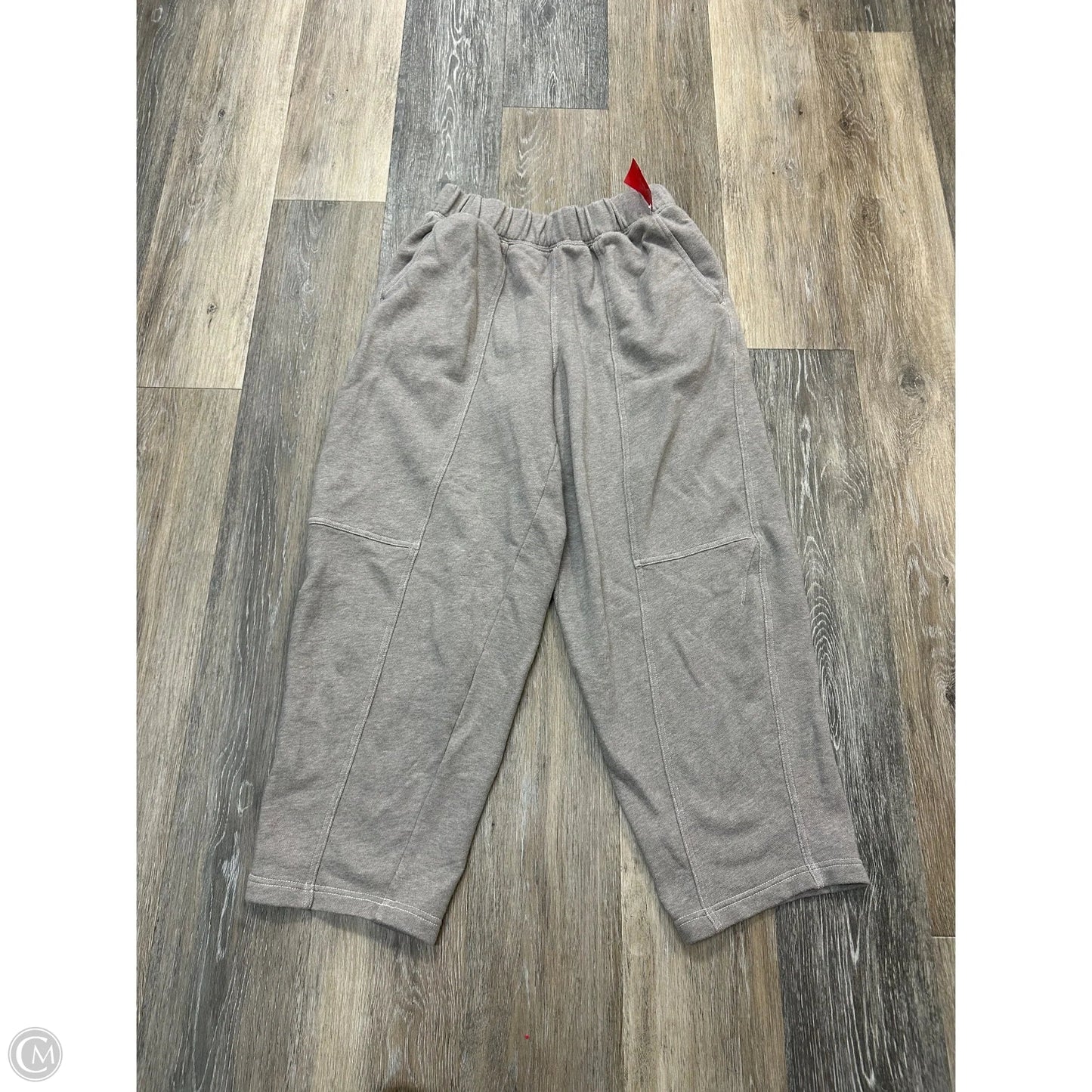 Athletic Pants By Aerie In Brown, Size: S