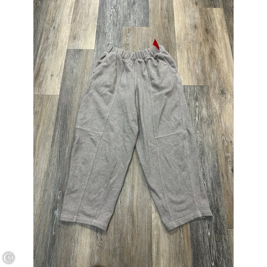 Athletic Pants By Aerie In Brown, Size: S