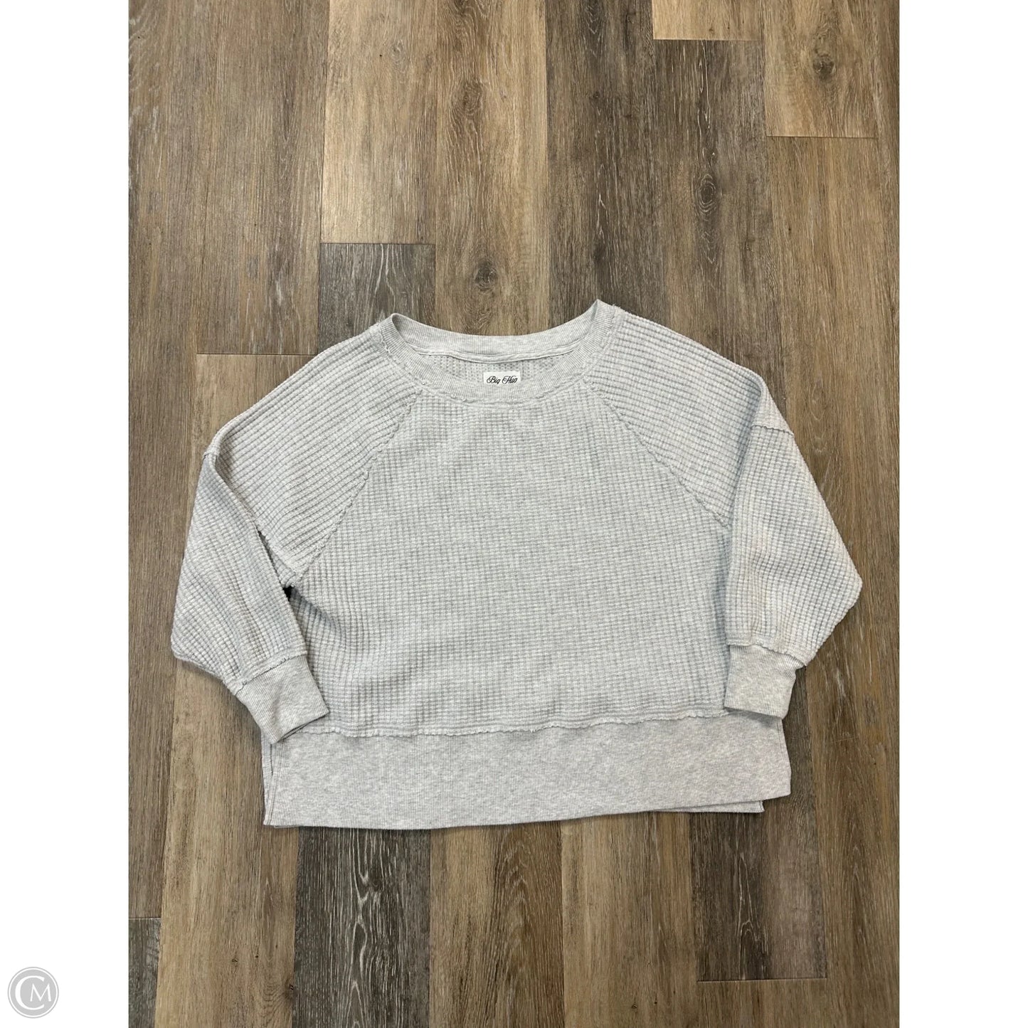 Top Long Sleeve By American Eagle In Grey, Size: S