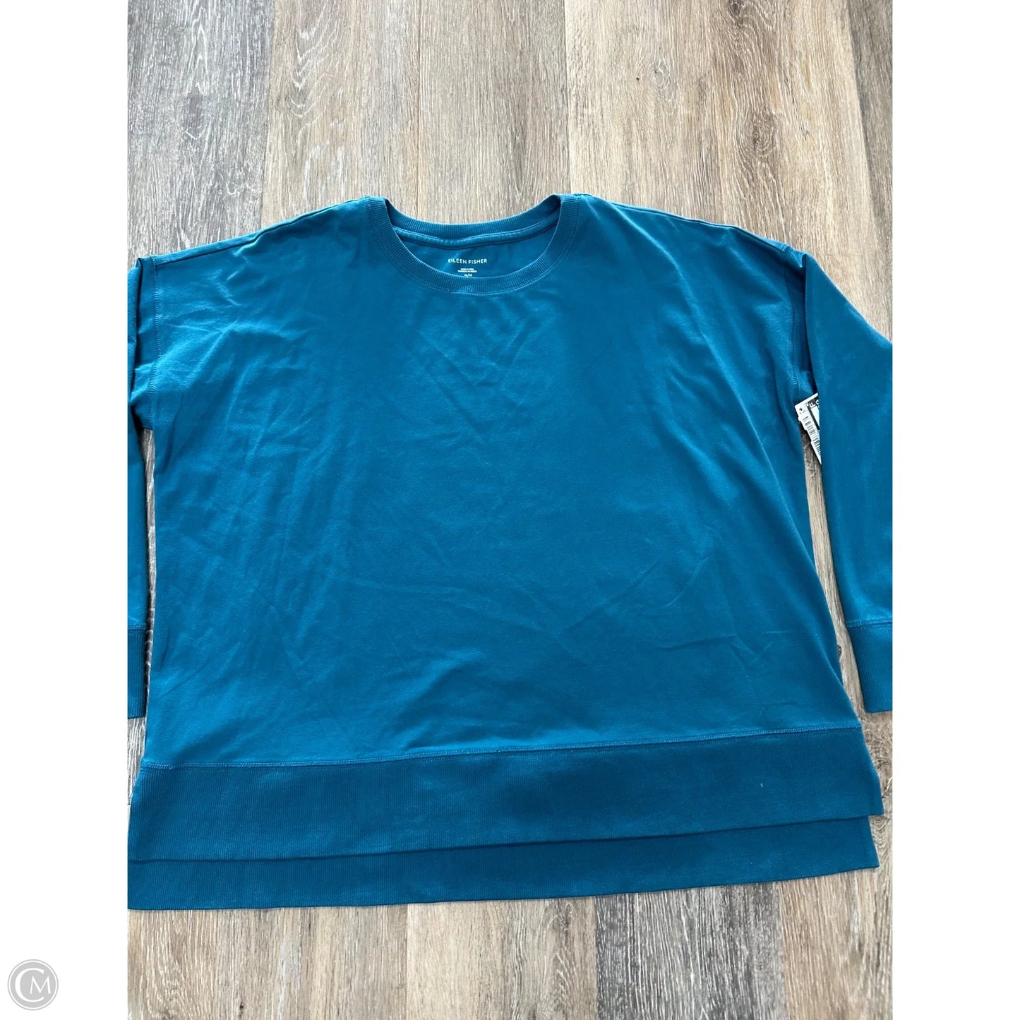 Top Long Sleeve By Eileen Fisher In Blue, Size: M