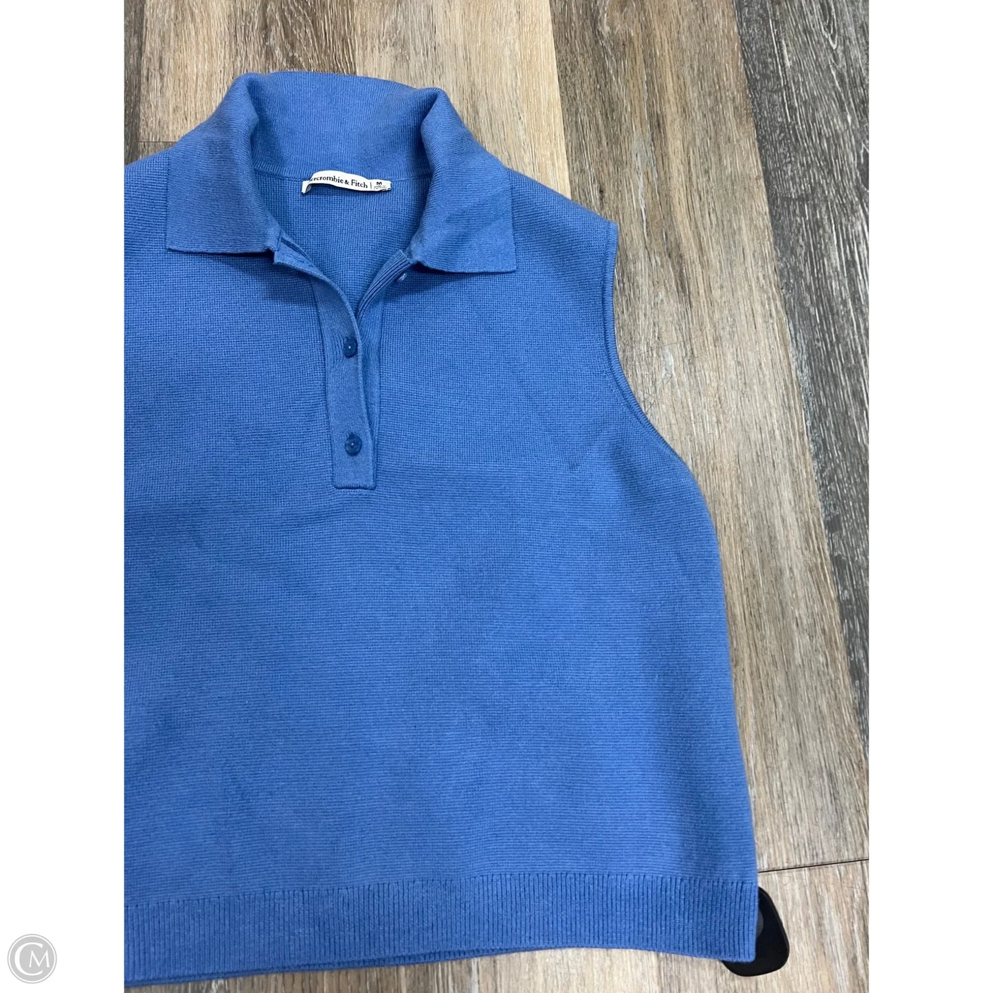 Sweater Short Sleeve By Abercrombie And Fitch In Blue, Size: M