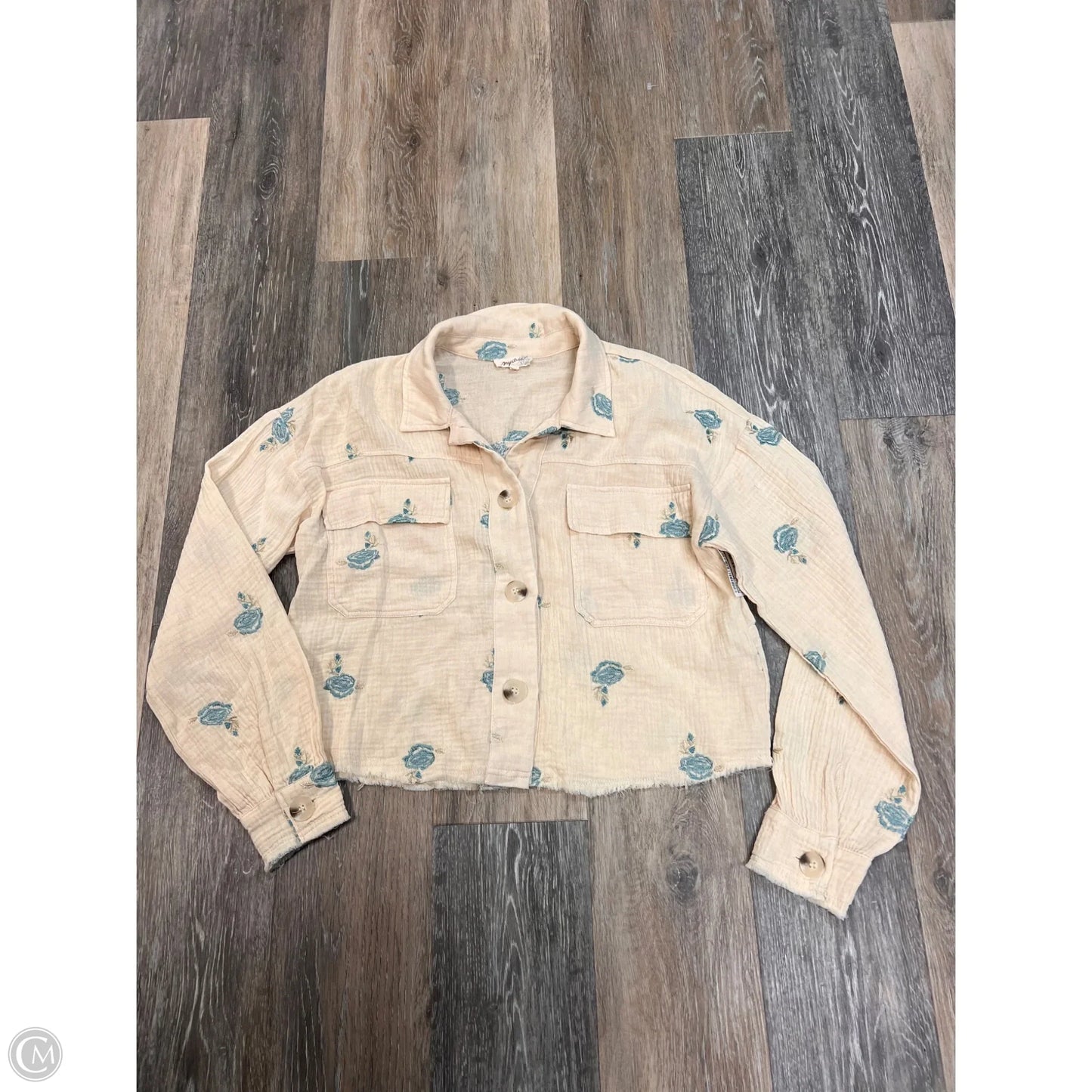 Blouse Long Sleeve By Mystree In Blue & Cream, Size: S