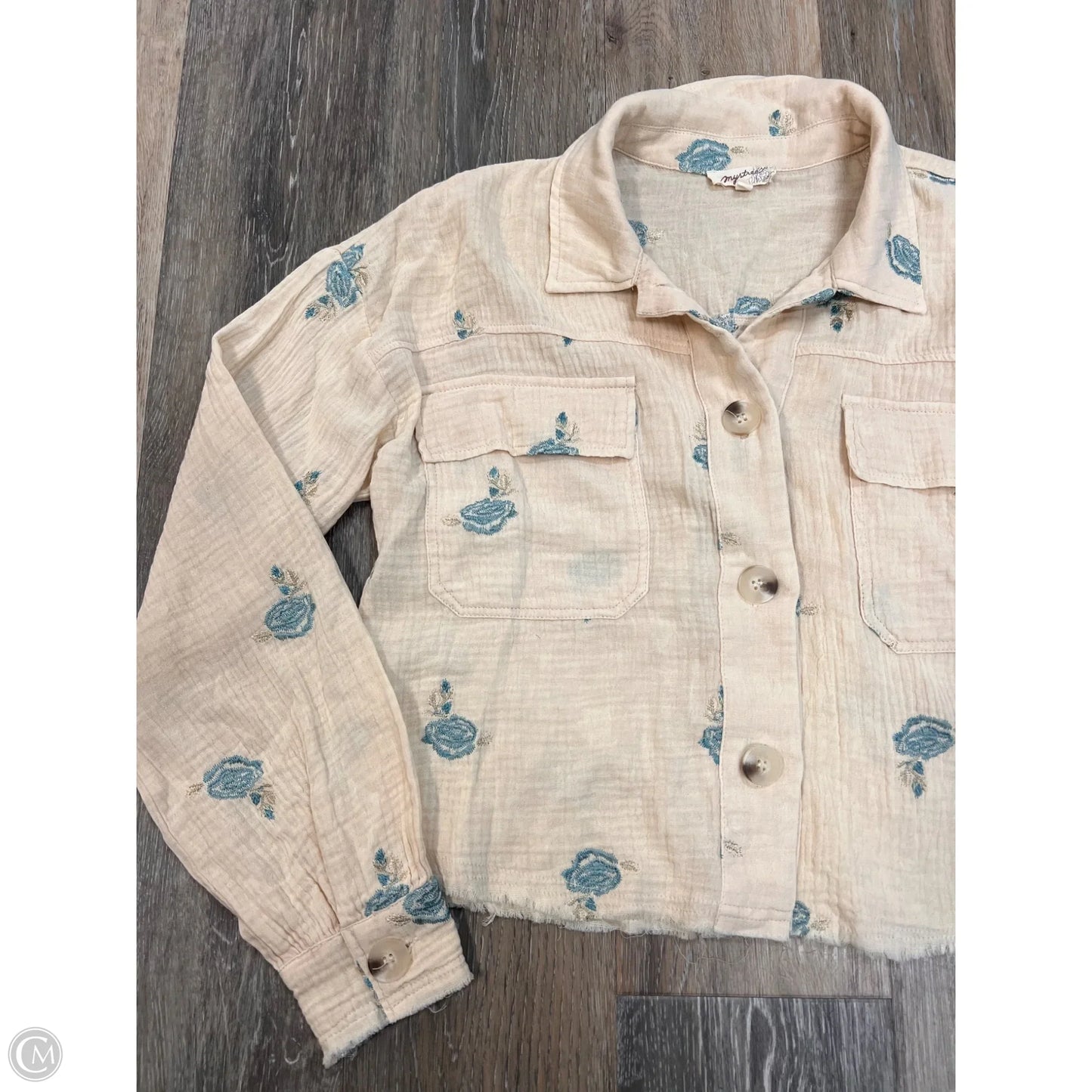 Blouse Long Sleeve By Mystree In Blue & Cream, Size: S