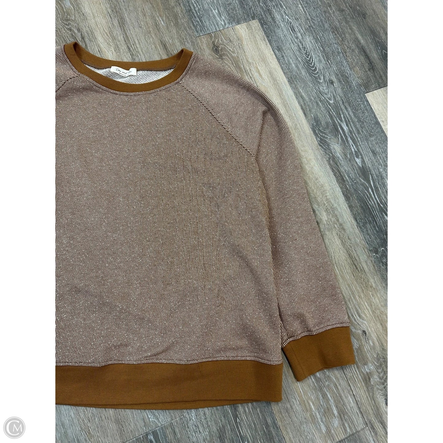 Sweatshirt Crewneck By Doe & Rae In Tan, Size: 2x