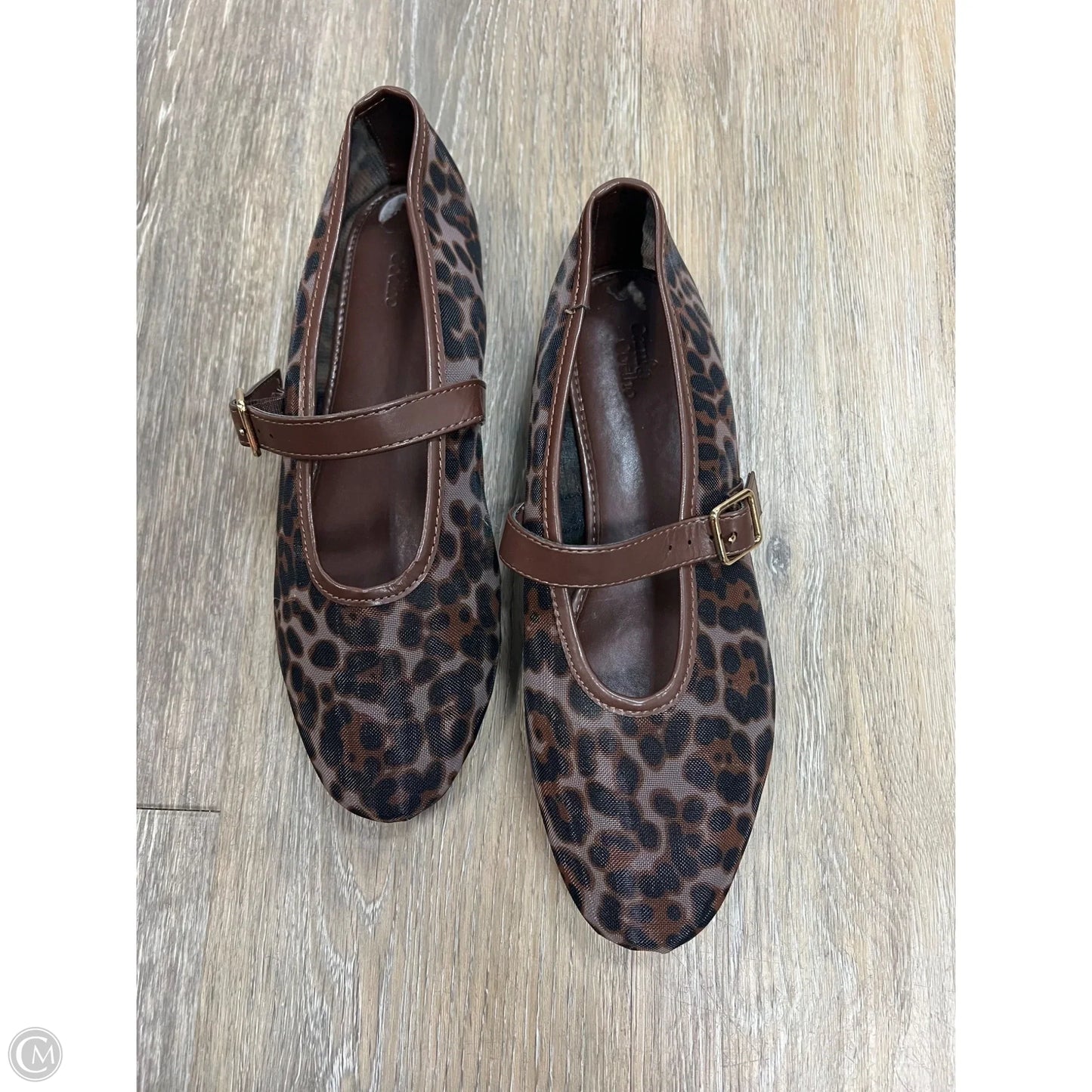 Shoes Flats By Camila Coelho In Animal Print, Size: 8