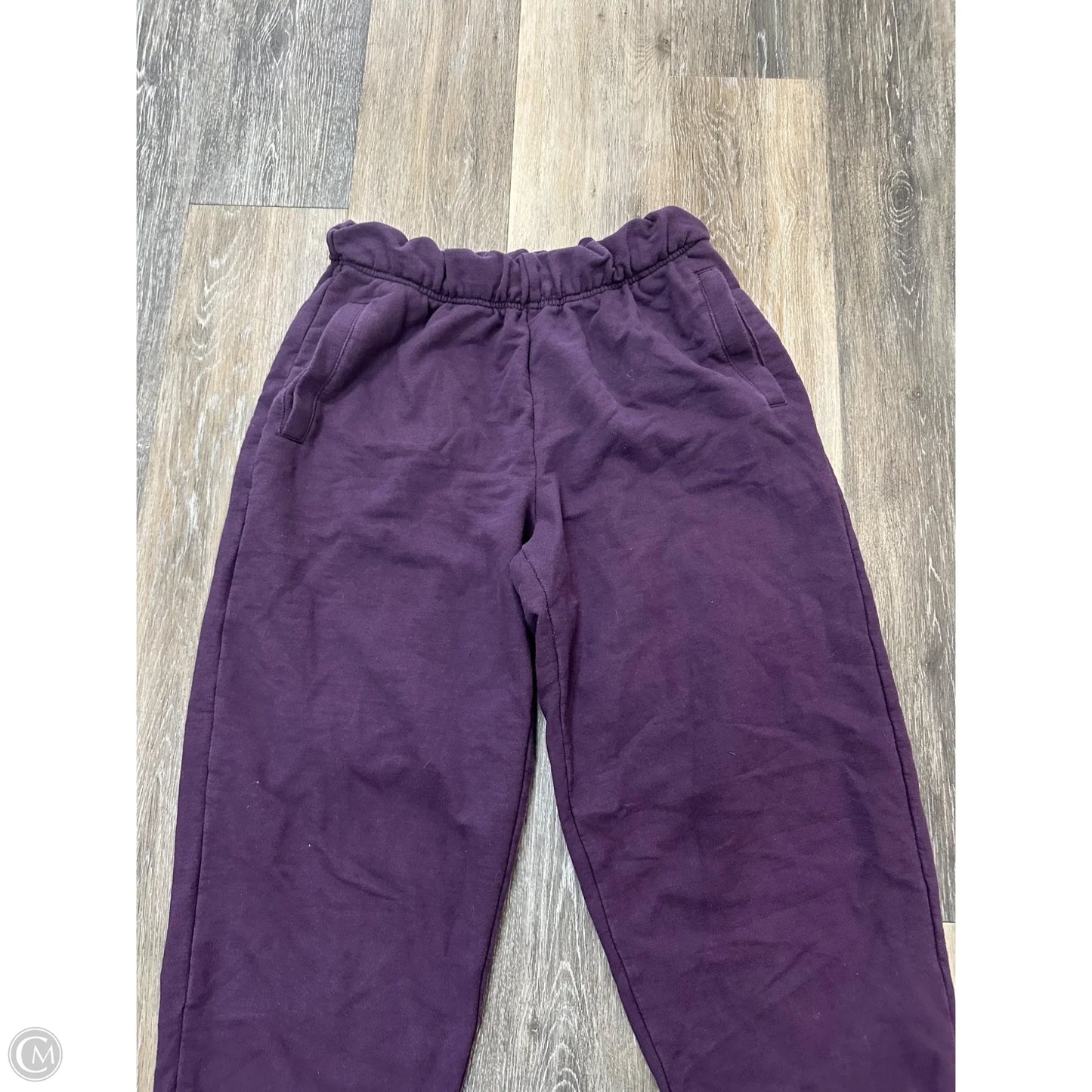 Athletic Pants By Aerie In Purple, Size: S