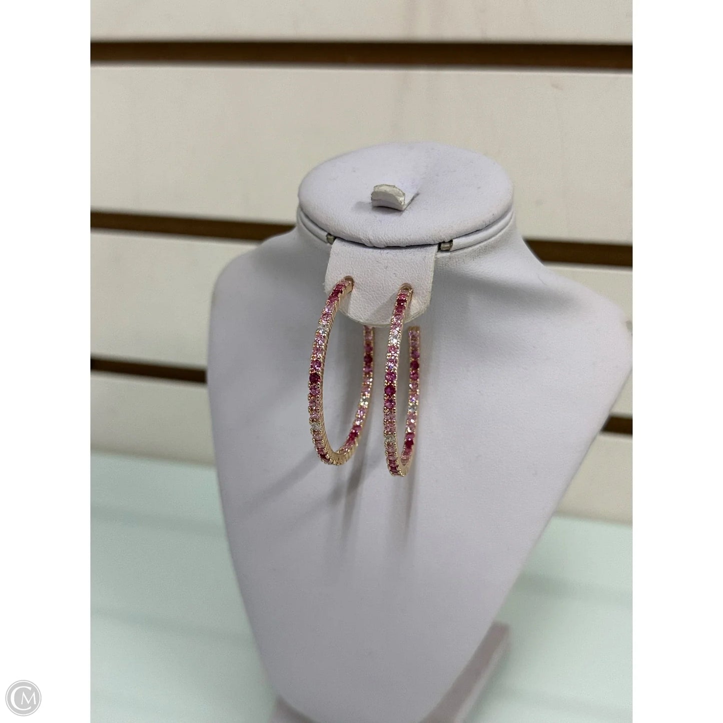 Earrings Hoop By Park Lane