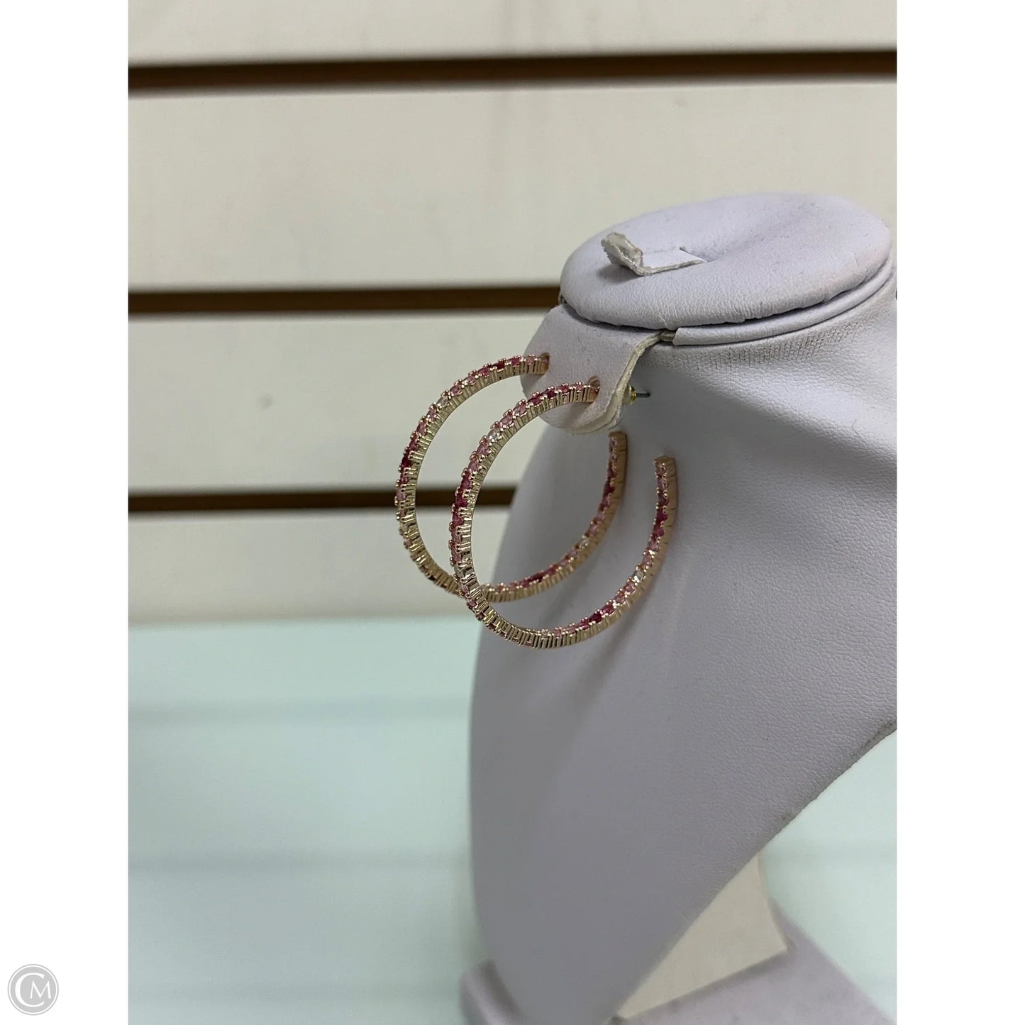 Earrings Hoop By Park Lane