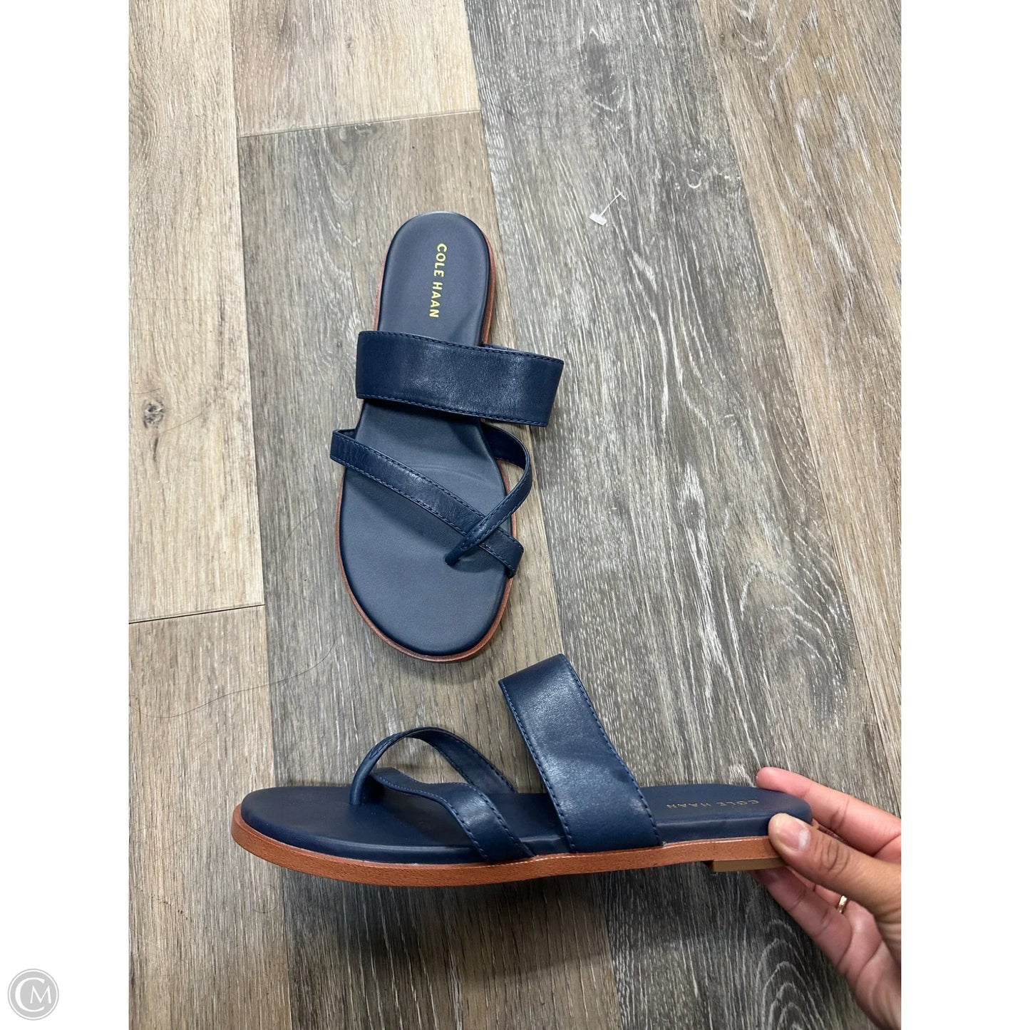 Sandals Flats By Cole-haan In Blue, Size: 7