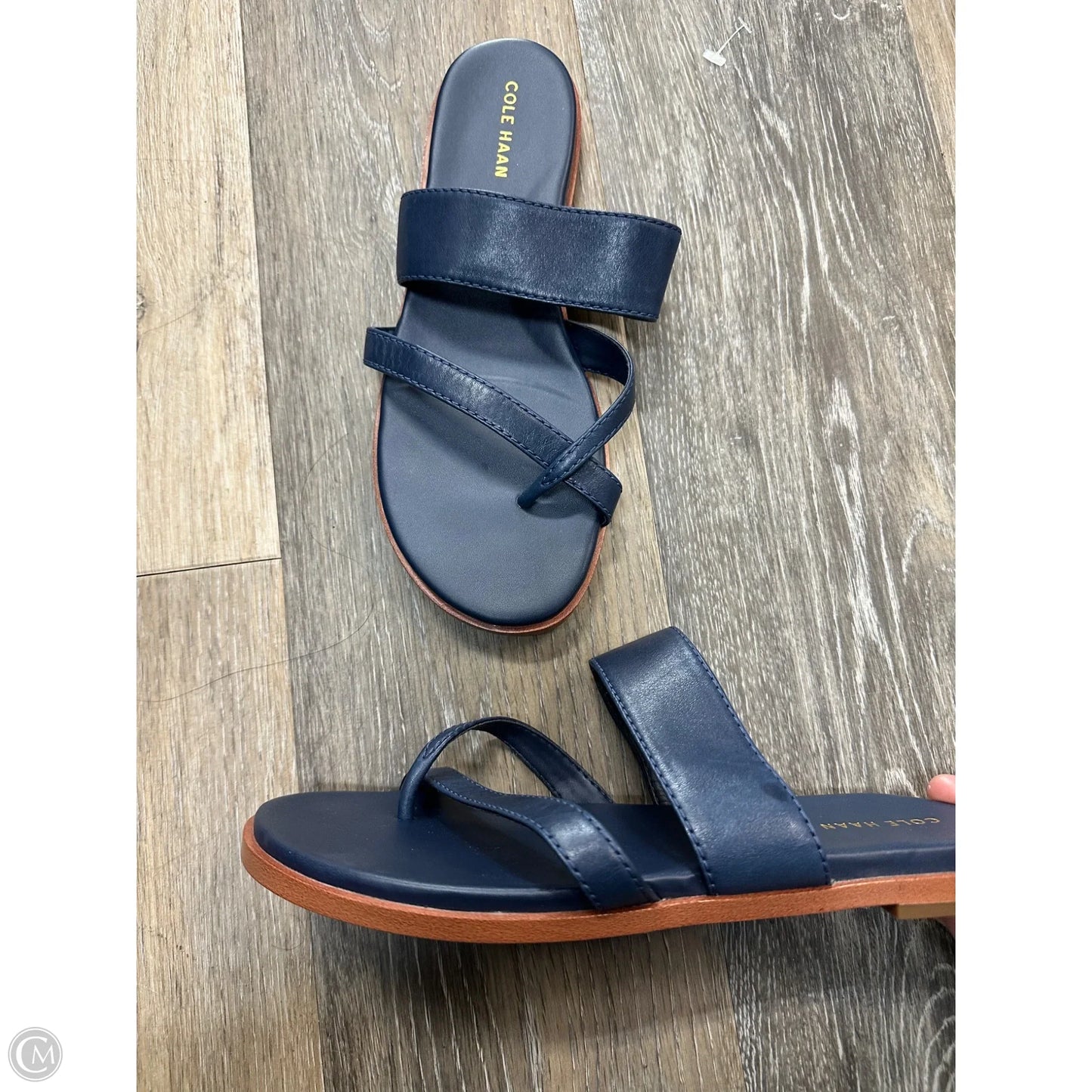 Sandals Flats By Cole-haan In Blue, Size: 7