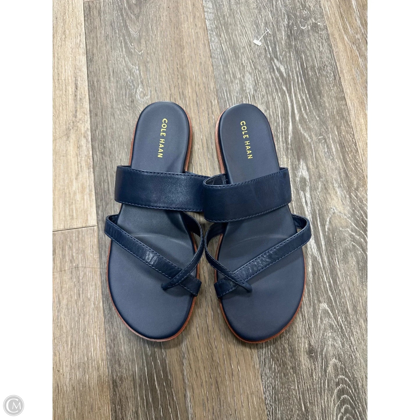 Sandals Flats By Cole-haan In Blue, Size: 7